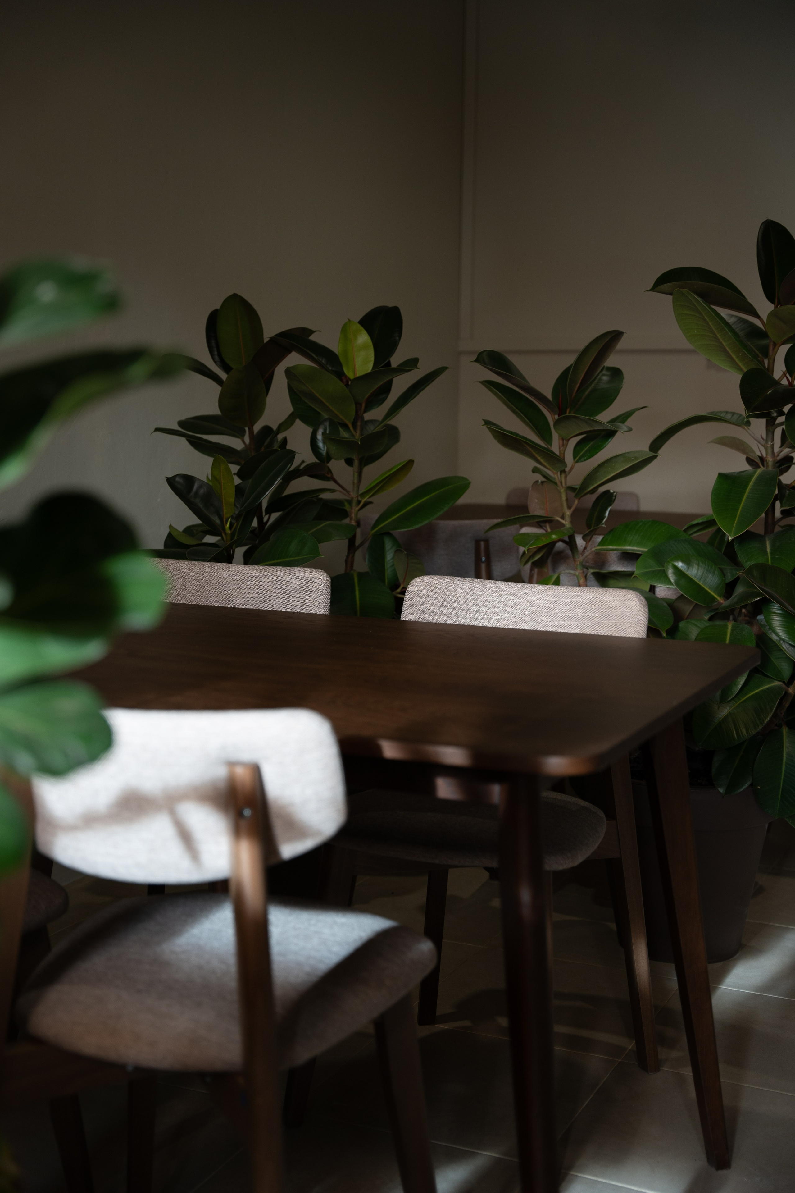 Love and Coffee — Кофейня — фудфото и видео. Шедевры для Вас! Фотограф и Видеограф в Краснодаре Пахиев Руслан