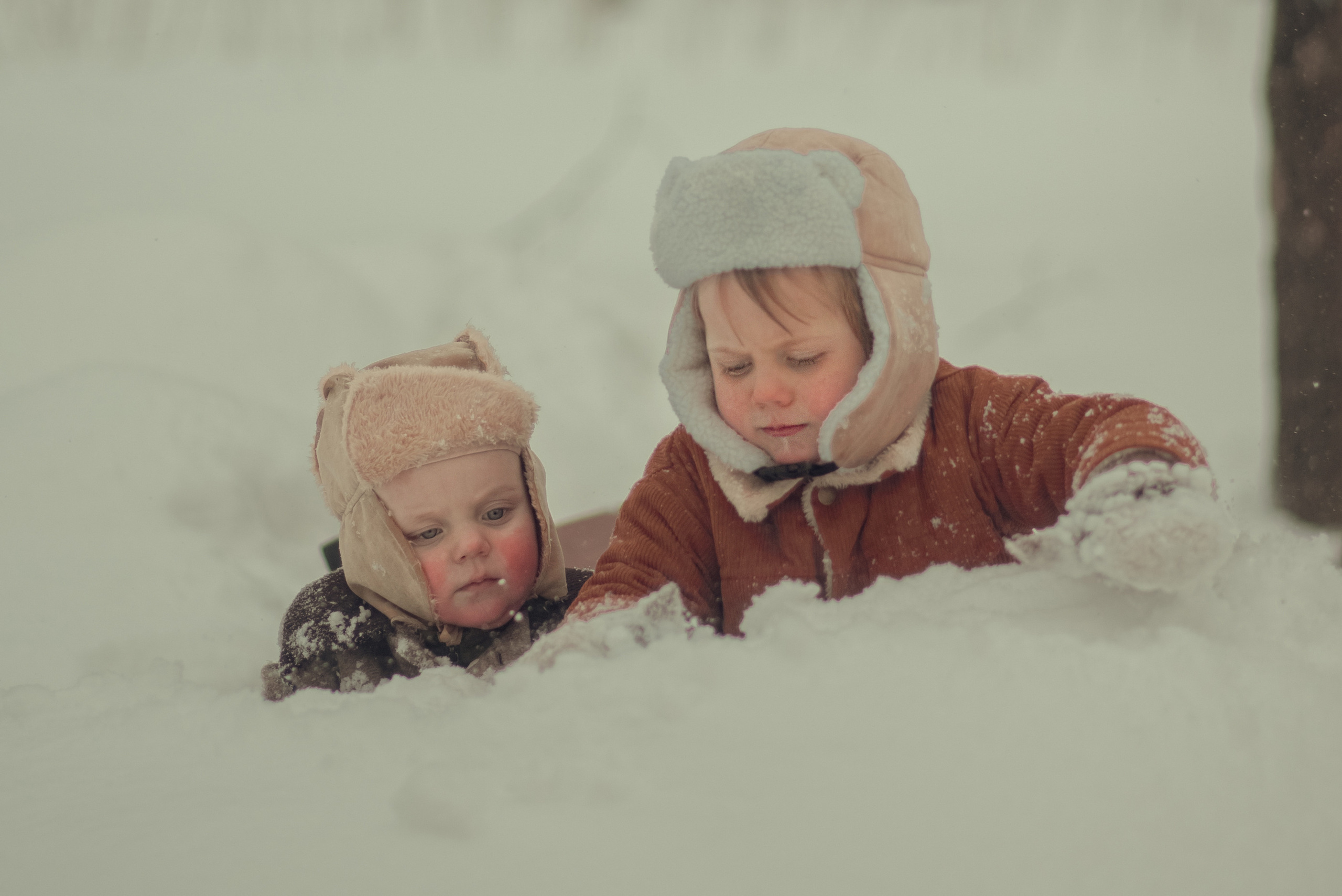 Снежки. Детский и семейный фотограф/видеограф Галина Чеб