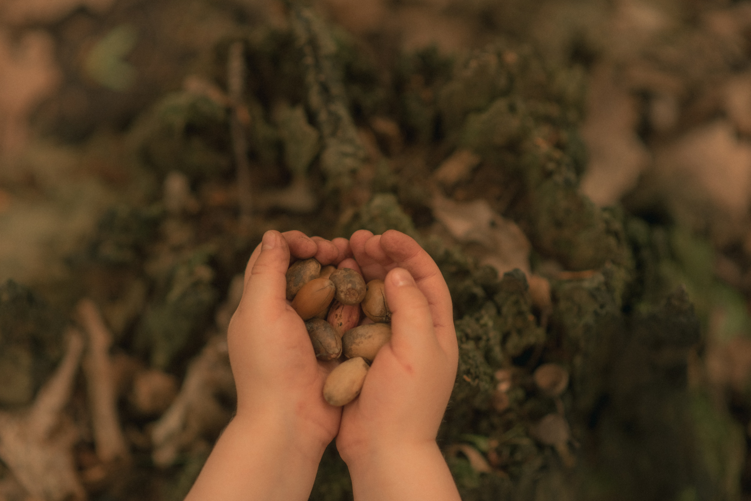 Ботаники. Детский и семейный фотограф/видеограф Галина Чеб