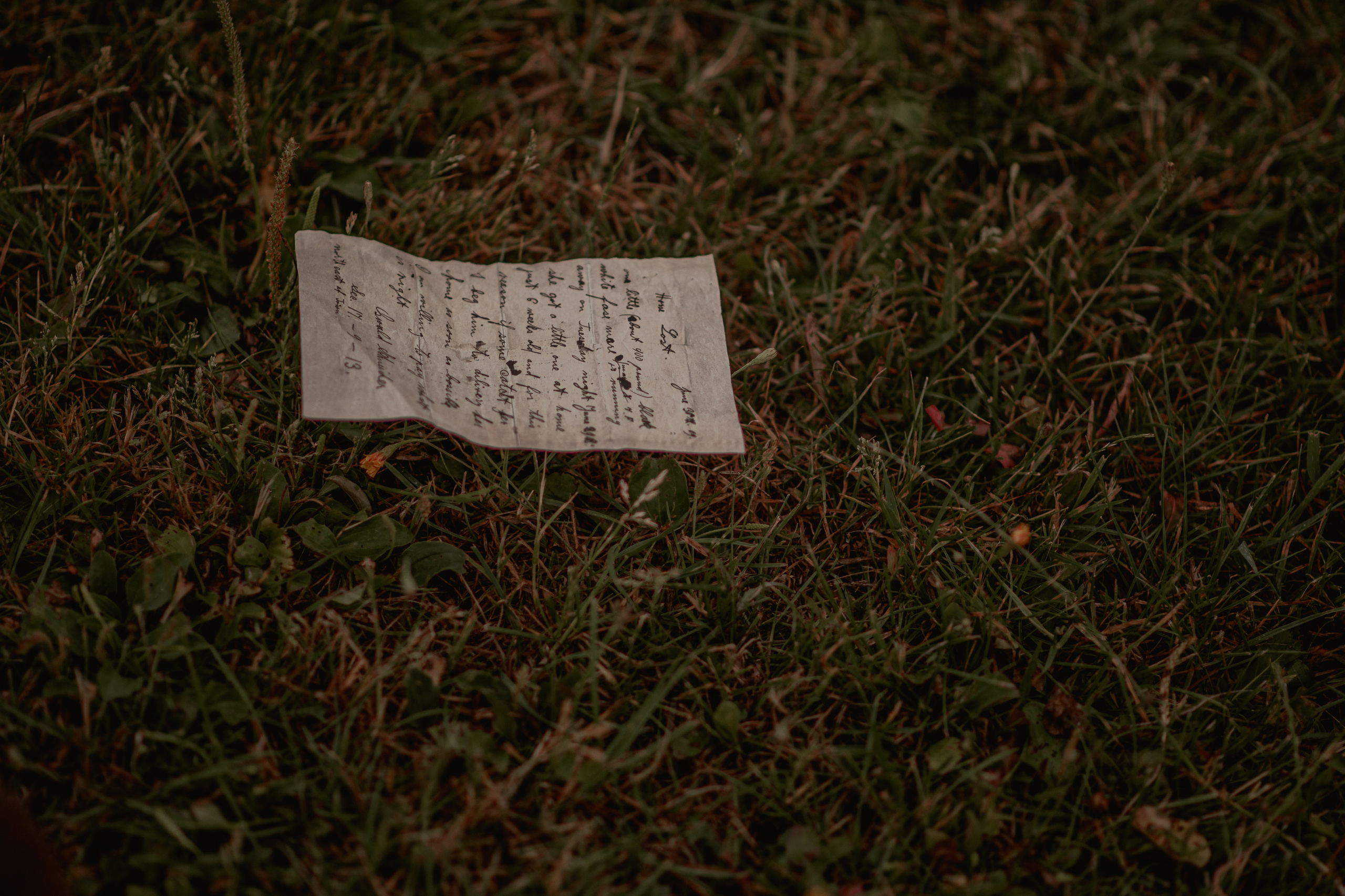 Ученик. Детский и семейный фотограф/видеограф Галина Чеб