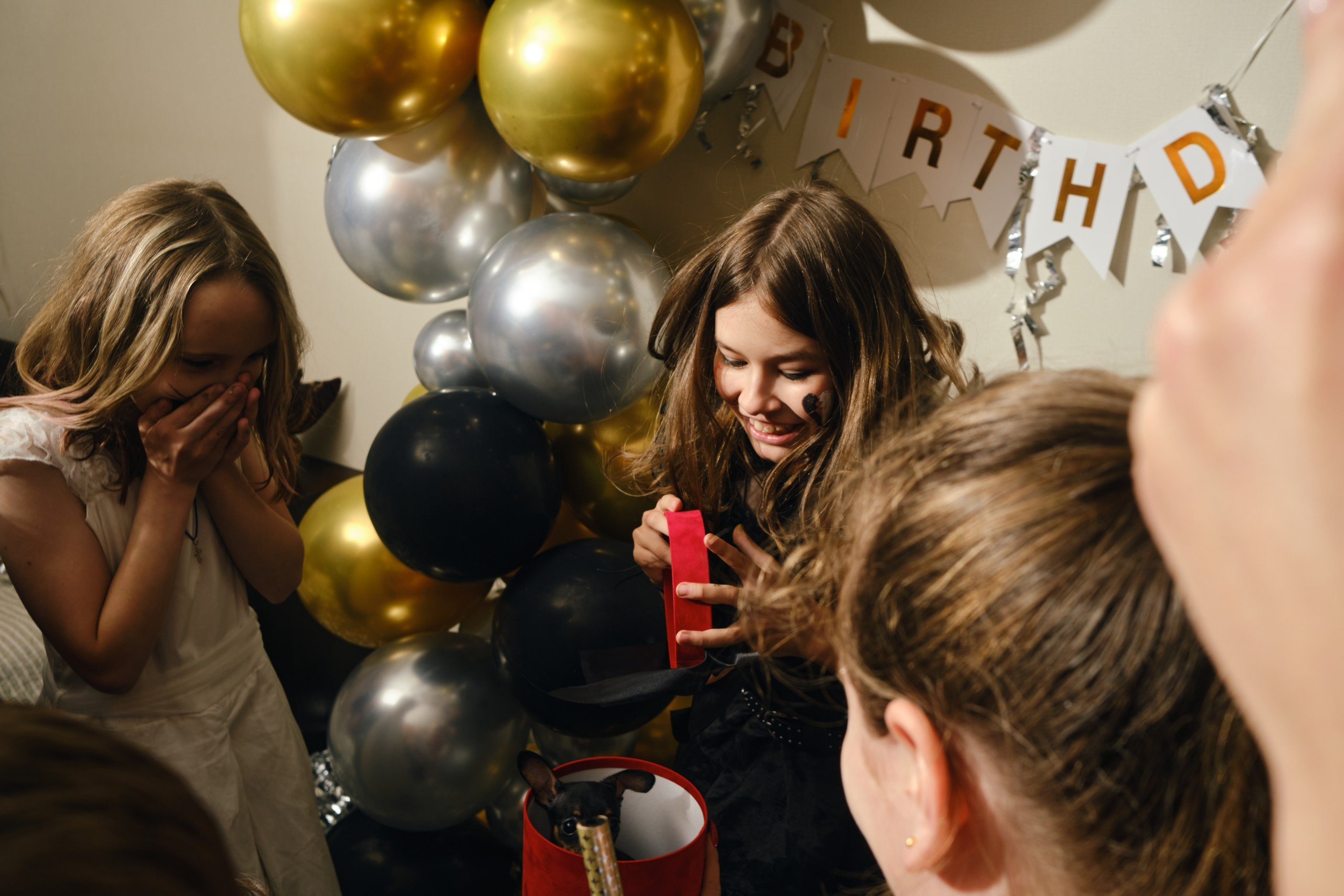 Портфолио - фотосъемка детских мероприятий. Профессиональный фотограф в Москве — Максим Дьяконов