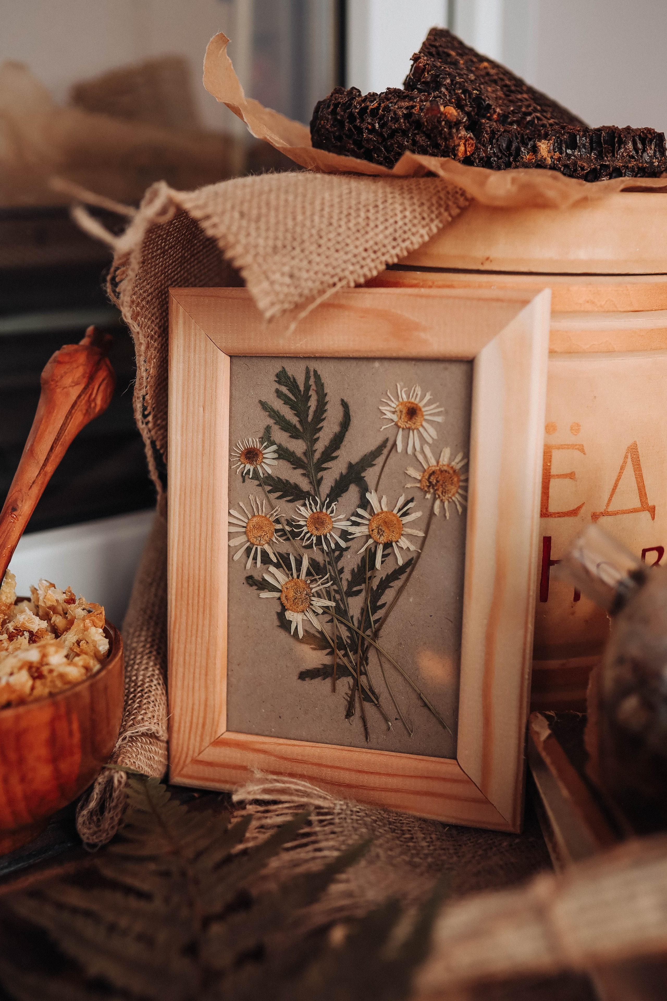 Мед. Фотограф  Ксения Евдокова. Дзержинск, Нижний, Москва, Питер