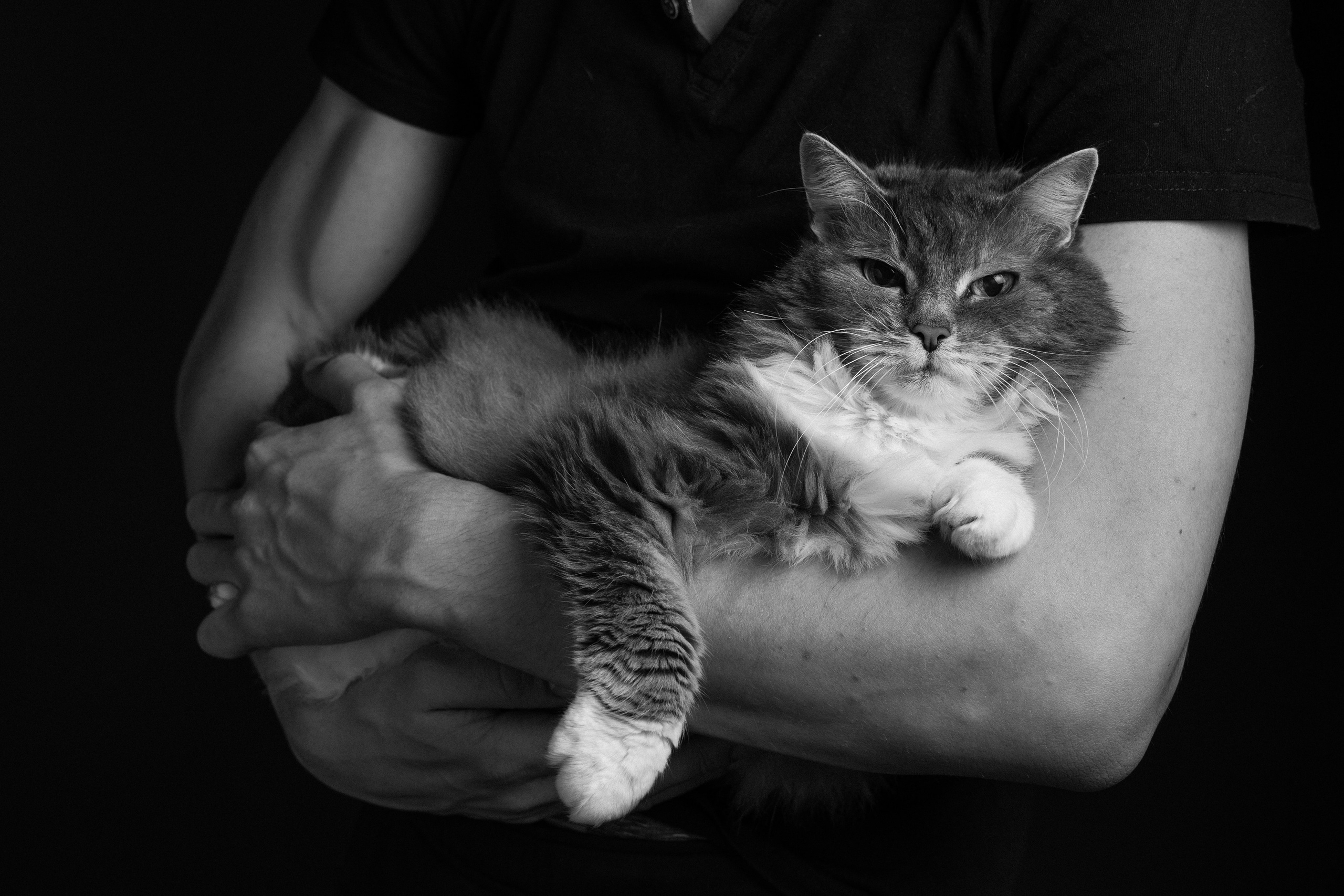 ФОТОСЕССИИ С ЖИВОТНЫМИ. Свадебный фотограф Санкт-Петербург Катерина Ширяева