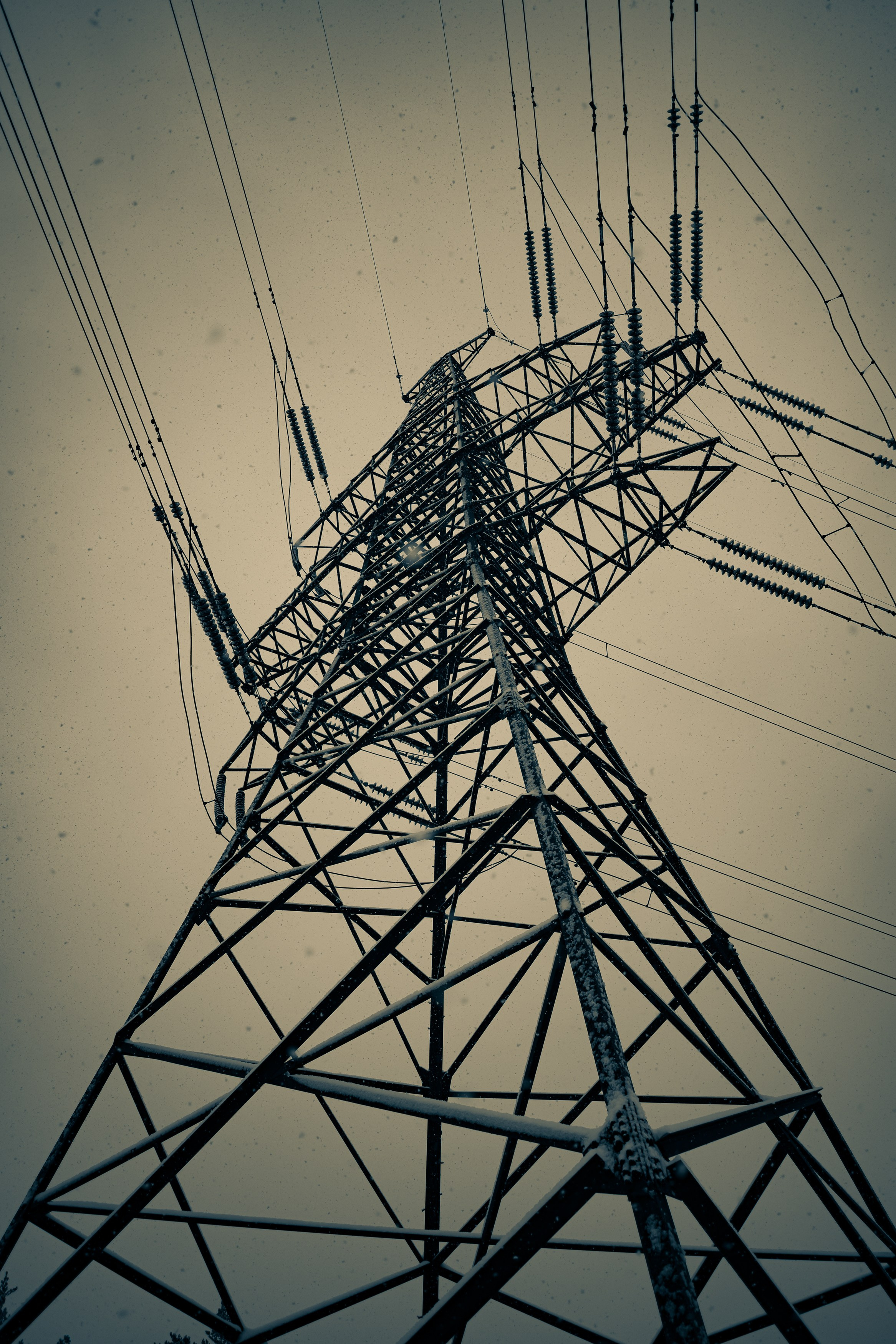 Landscape, nature, plants, details of the world around us. Personal website of photographer Dmitry Raikin