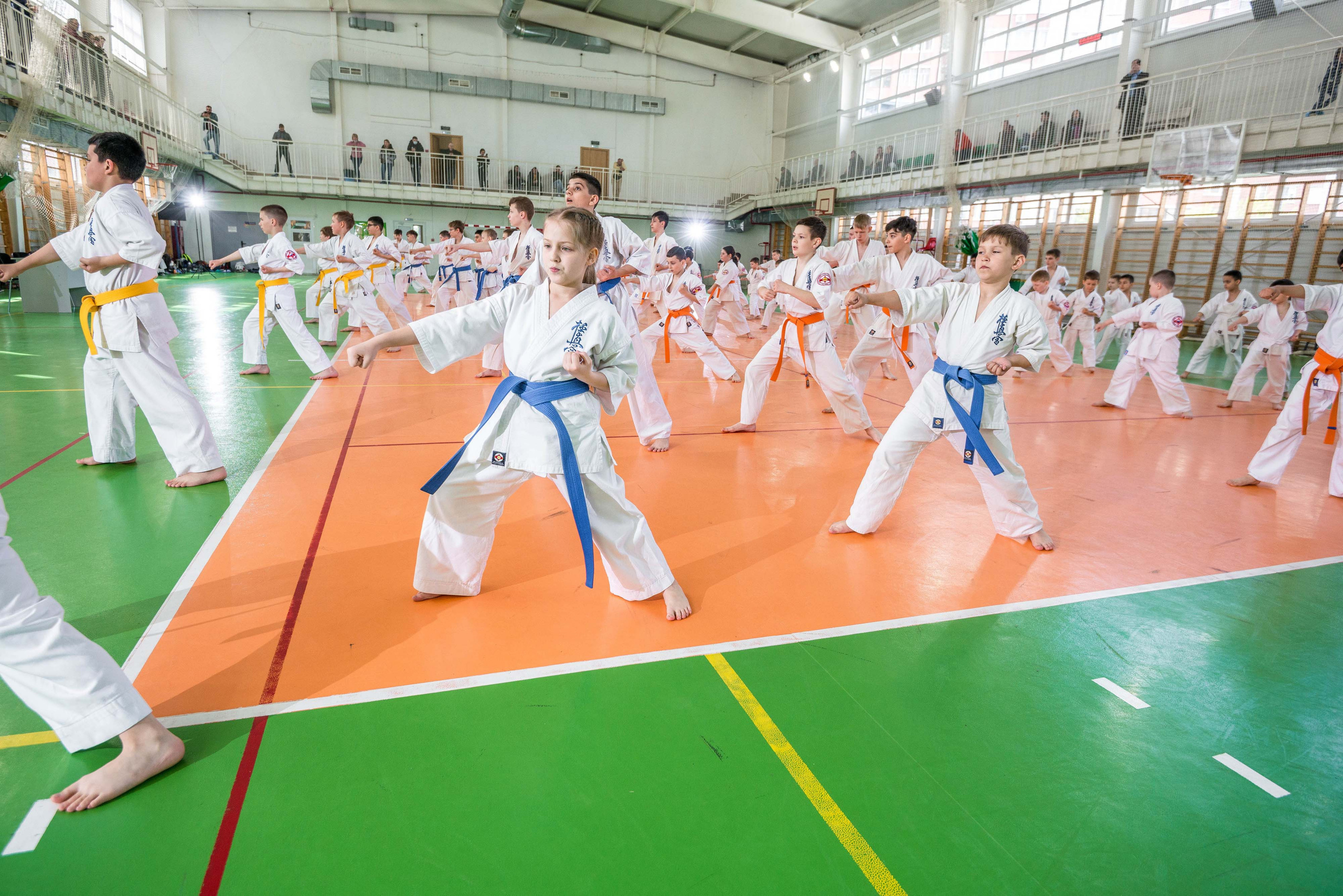 Аттестация киокошинкай клуб «ИППОН», Екатеринбург. Свадебный фотограф на Урале Виктор Соколов