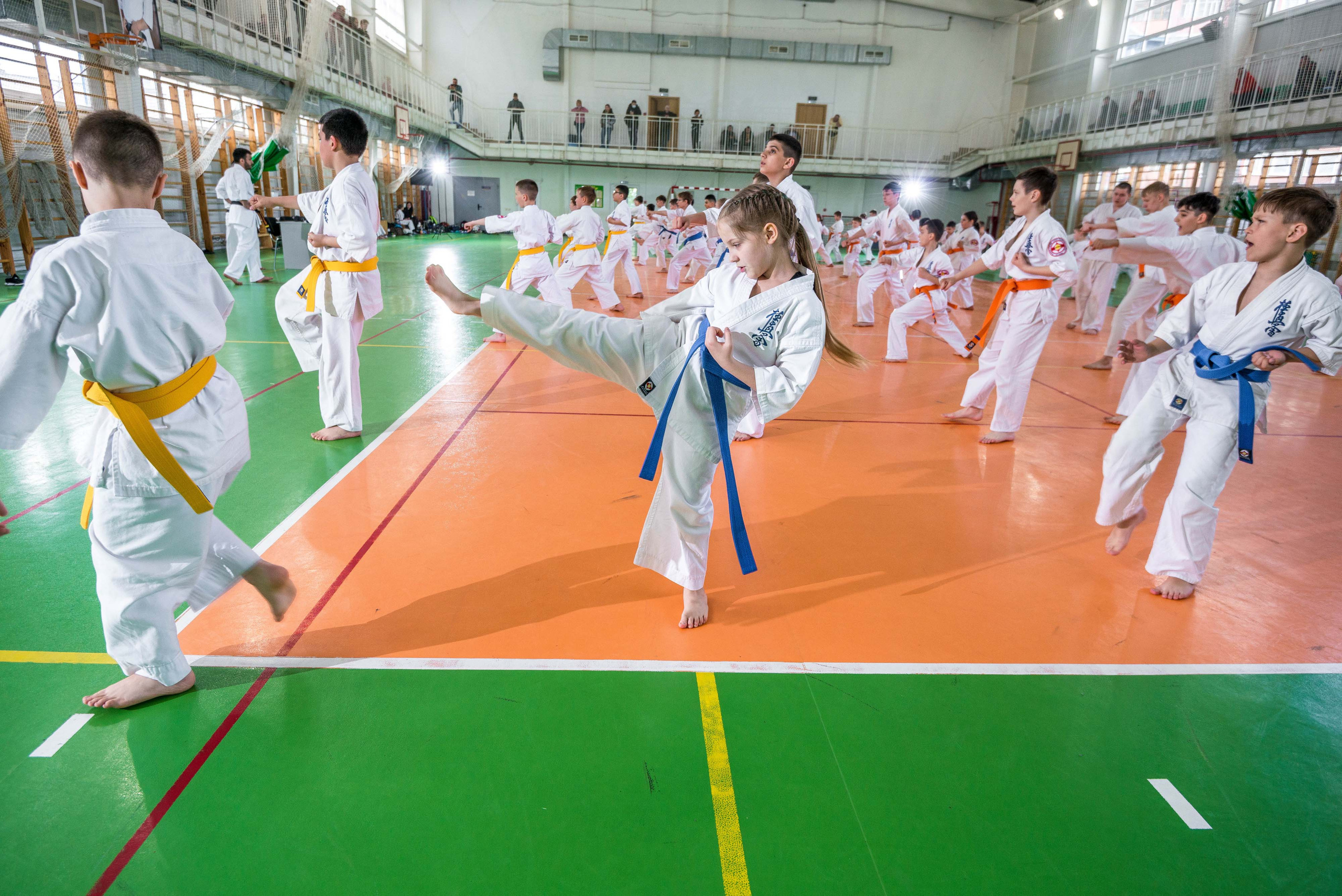 Аттестация киокошинкай клуб «ИППОН», Екатеринбург. Свадебный фотограф на Урале Виктор Соколов