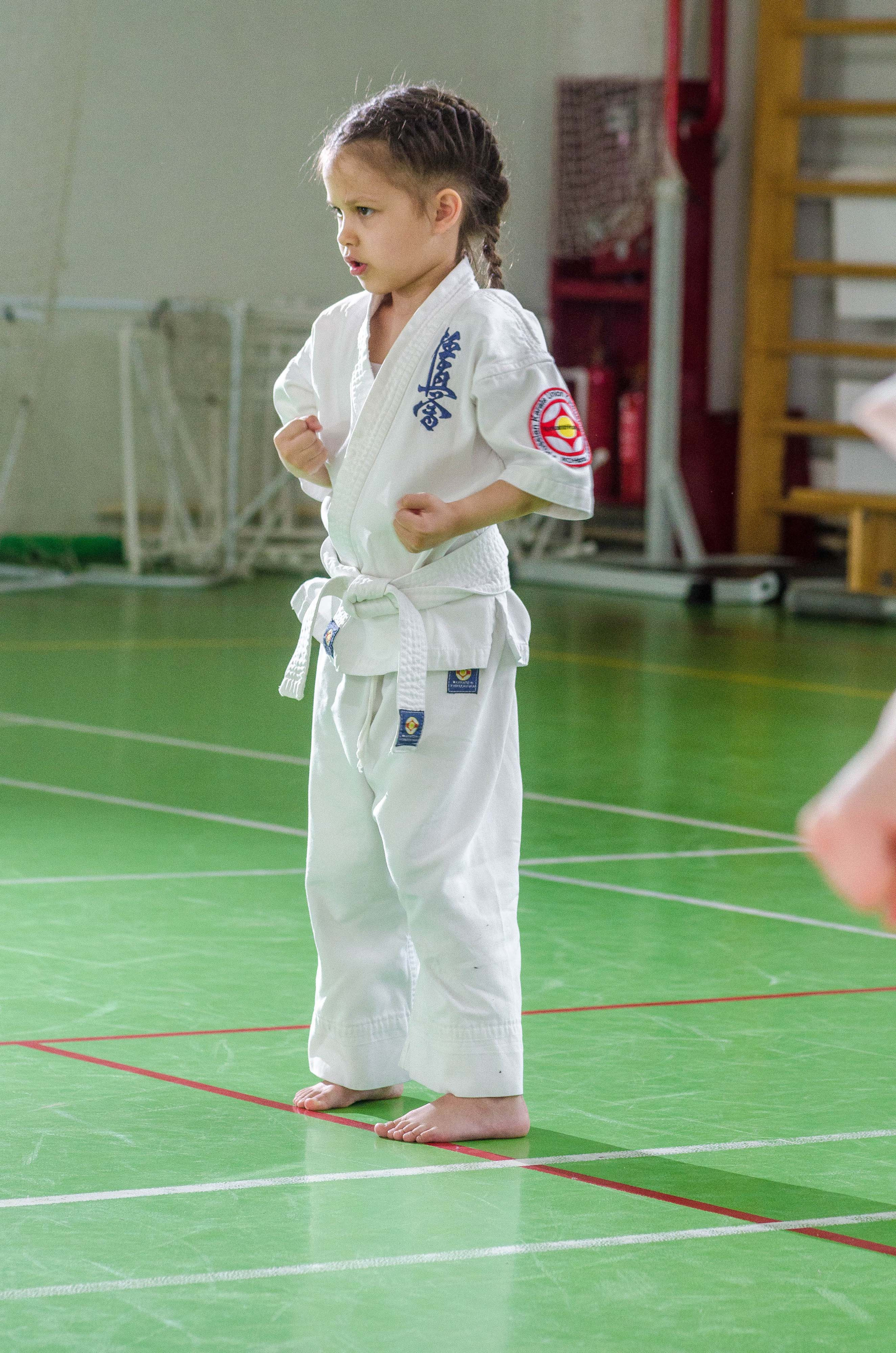 Аттестация киокошинкай клуб «ИППОН», Екатеринбург. Свадебный фотограф на Урале Виктор Соколов