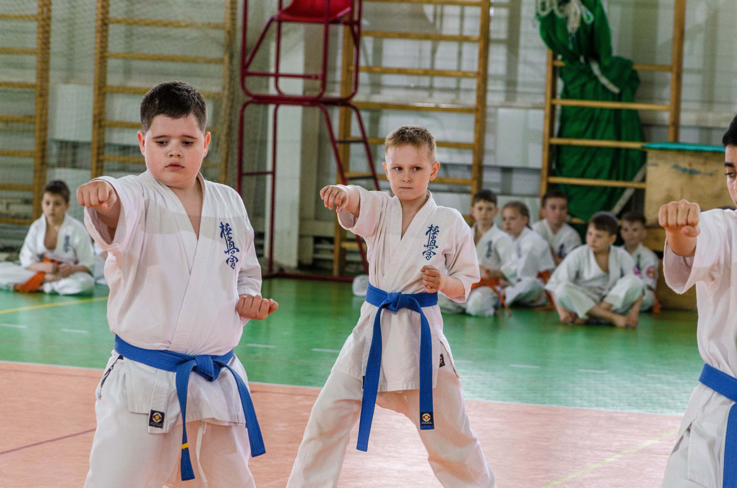 Аттестация киокошинкай клуб «ИППОН», Екатеринбург. Свадебный фотограф на Урале Виктор Соколов