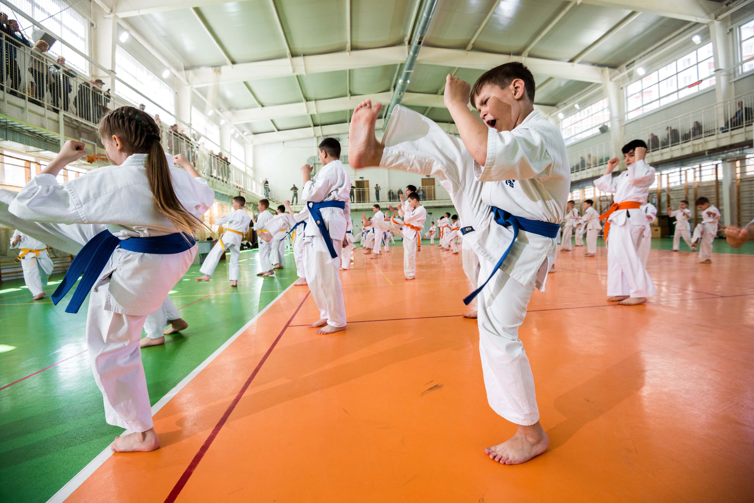 Аттестация киокошинкай клуб «ИППОН», Екатеринбург. Свадебный фотограф на Урале Виктор Соколов