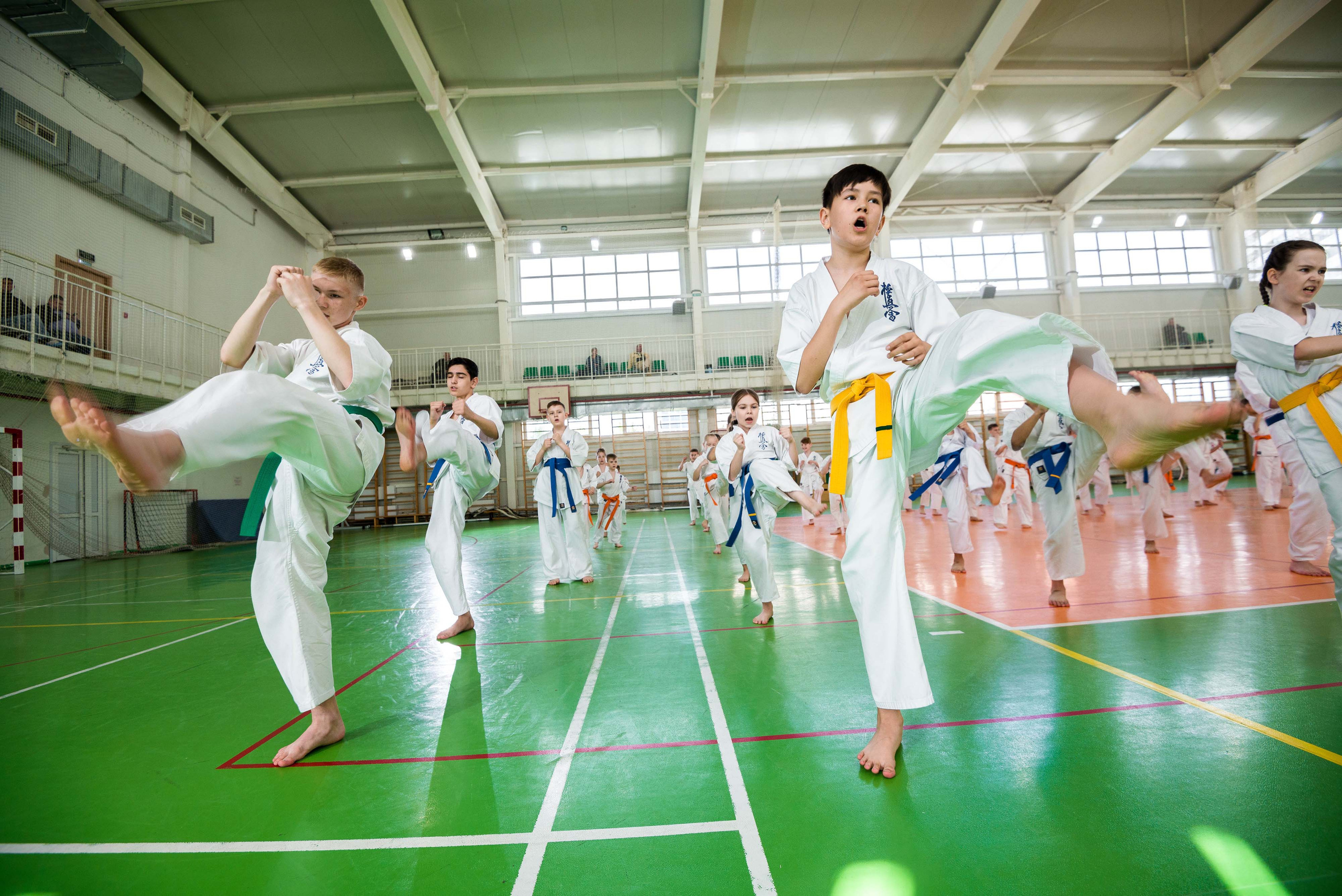 Аттестация киокошинкай клуб «ИППОН», Екатеринбург. Свадебный фотограф на Урале Виктор Соколов