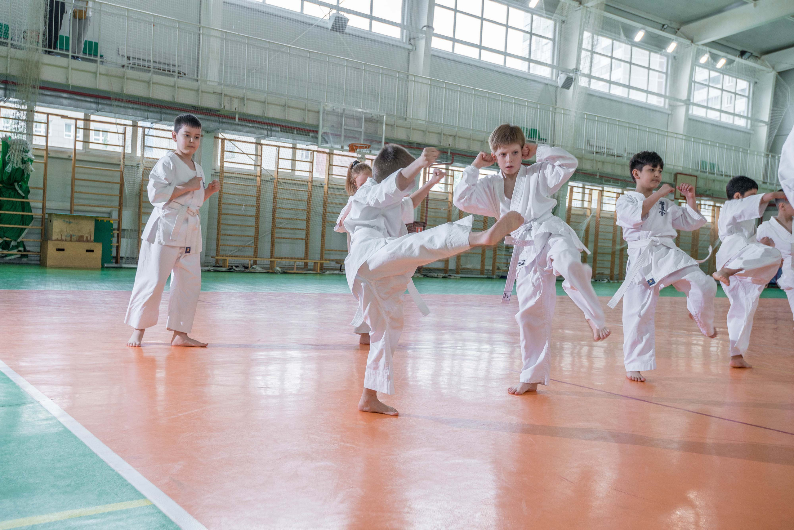 Аттестация киокошинкай клуб «ИППОН», Екатеринбург. Свадебный фотограф на Урале Виктор Соколов