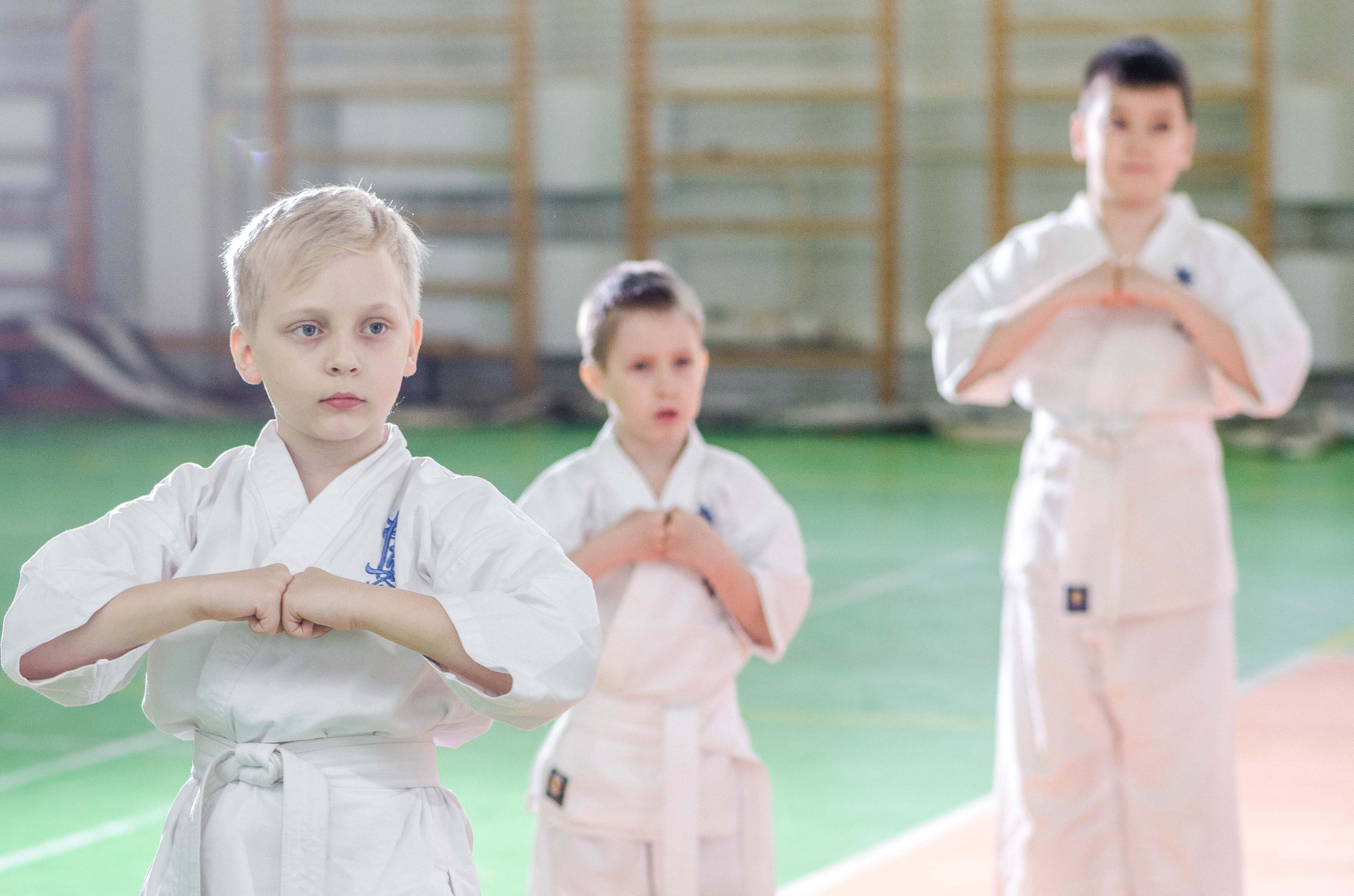 Аттестация киокошинкай клуб «ИППОН», Екатеринбург. Свадебный фотограф на Урале Виктор Соколов