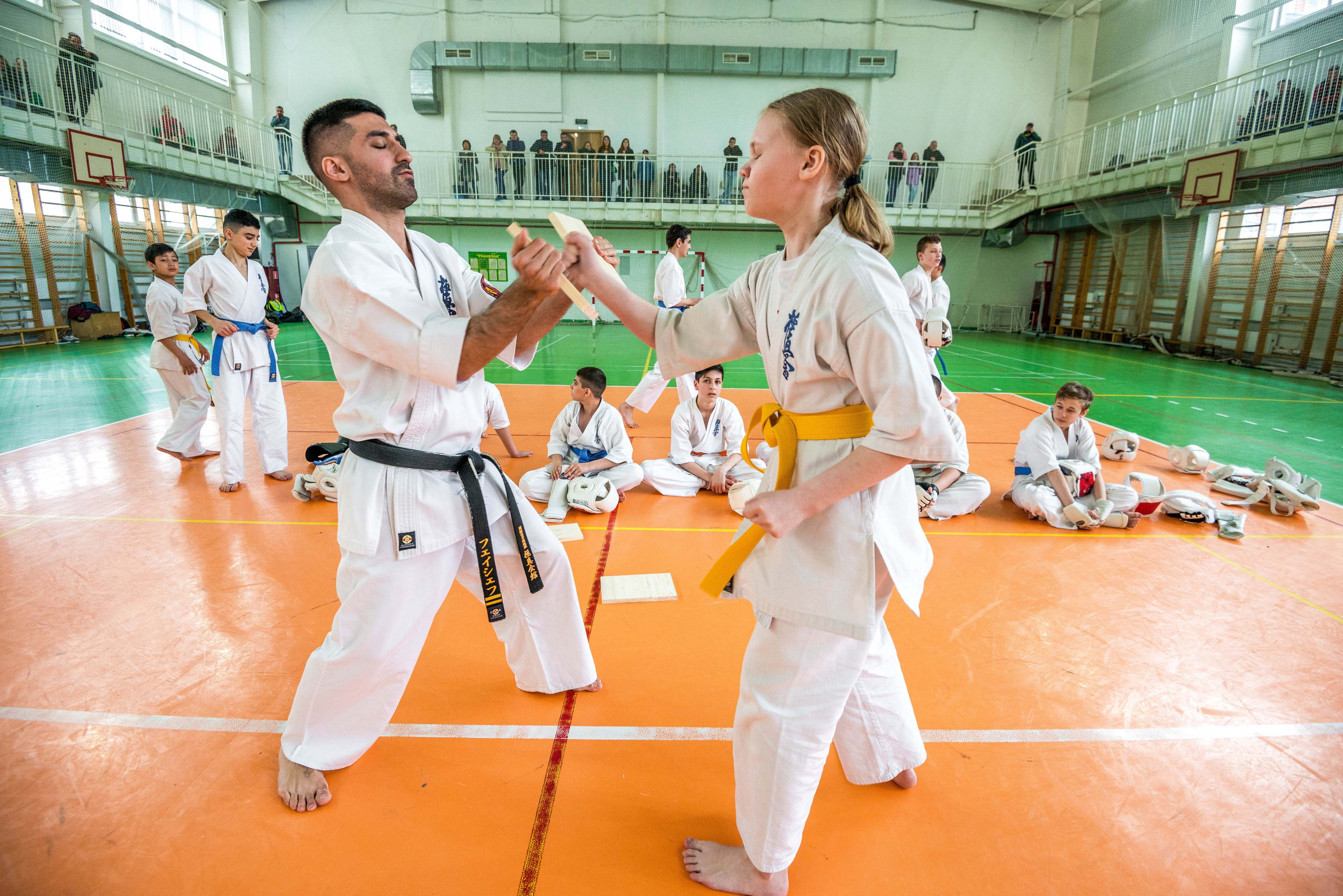 Аттестация киокошинкай клуб «ИППОН», Екатеринбург. Свадебный фотограф на Урале Виктор Соколов