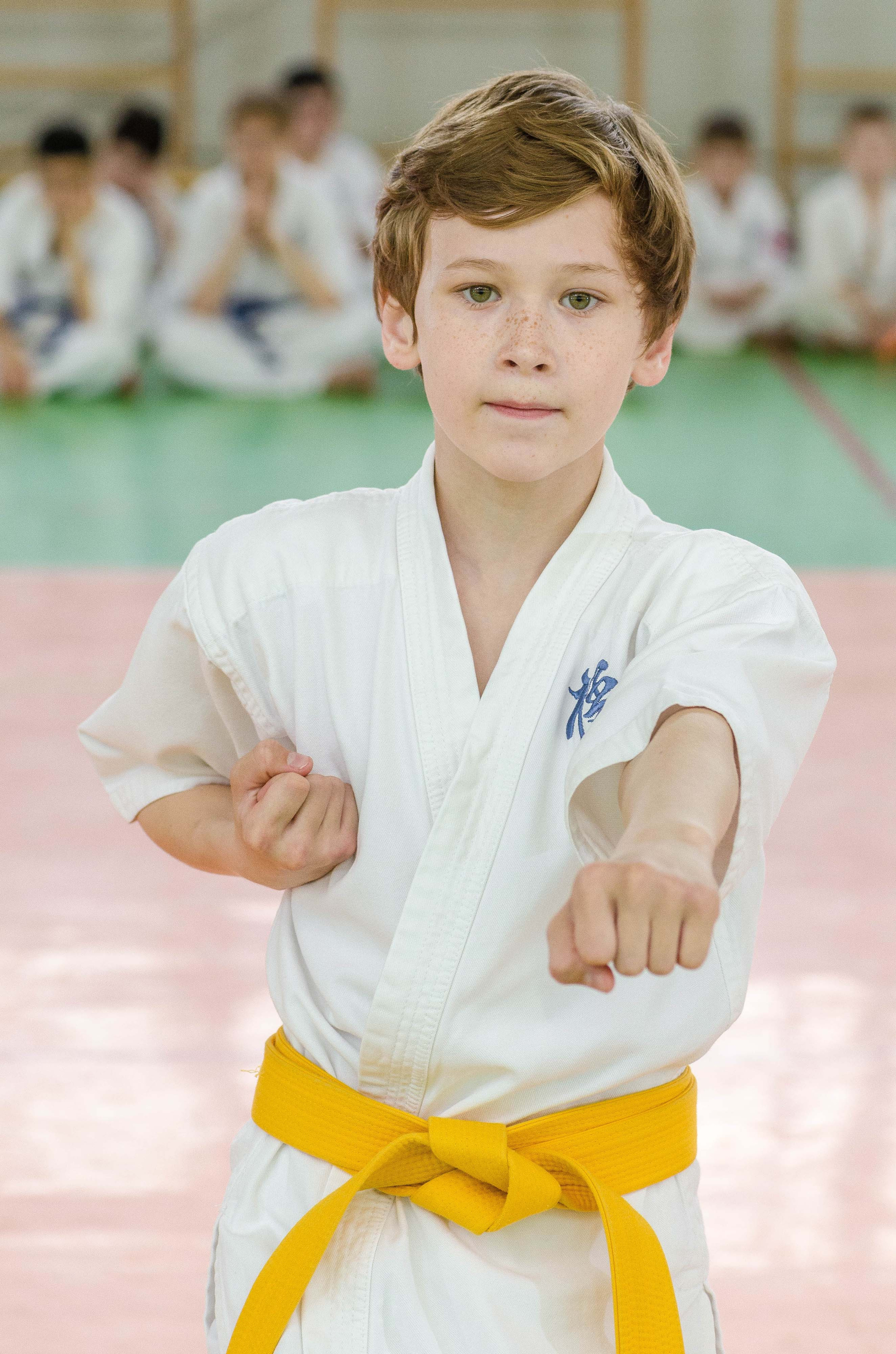 Аттестация киокошинкай клуб «ИППОН», Екатеринбург. Свадебный фотограф на Урале Виктор Соколов