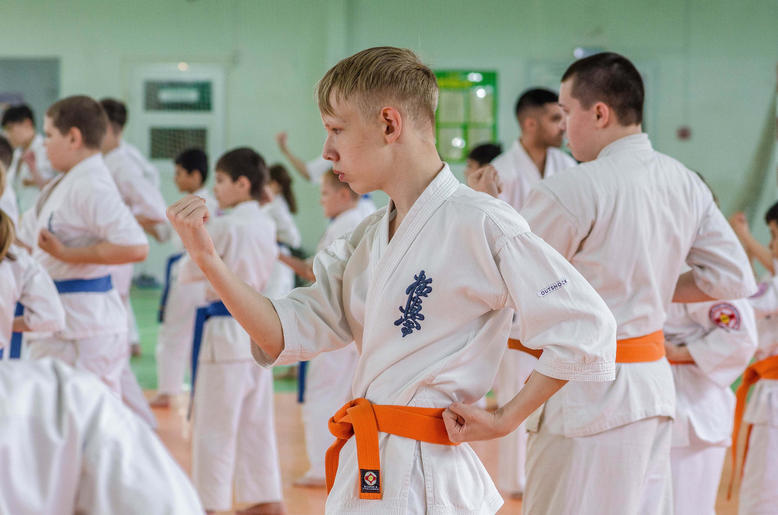 Аттестация киокошинкай клуб «ИППОН», Екатеринбург. Свадебный фотограф на Урале Виктор Соколов