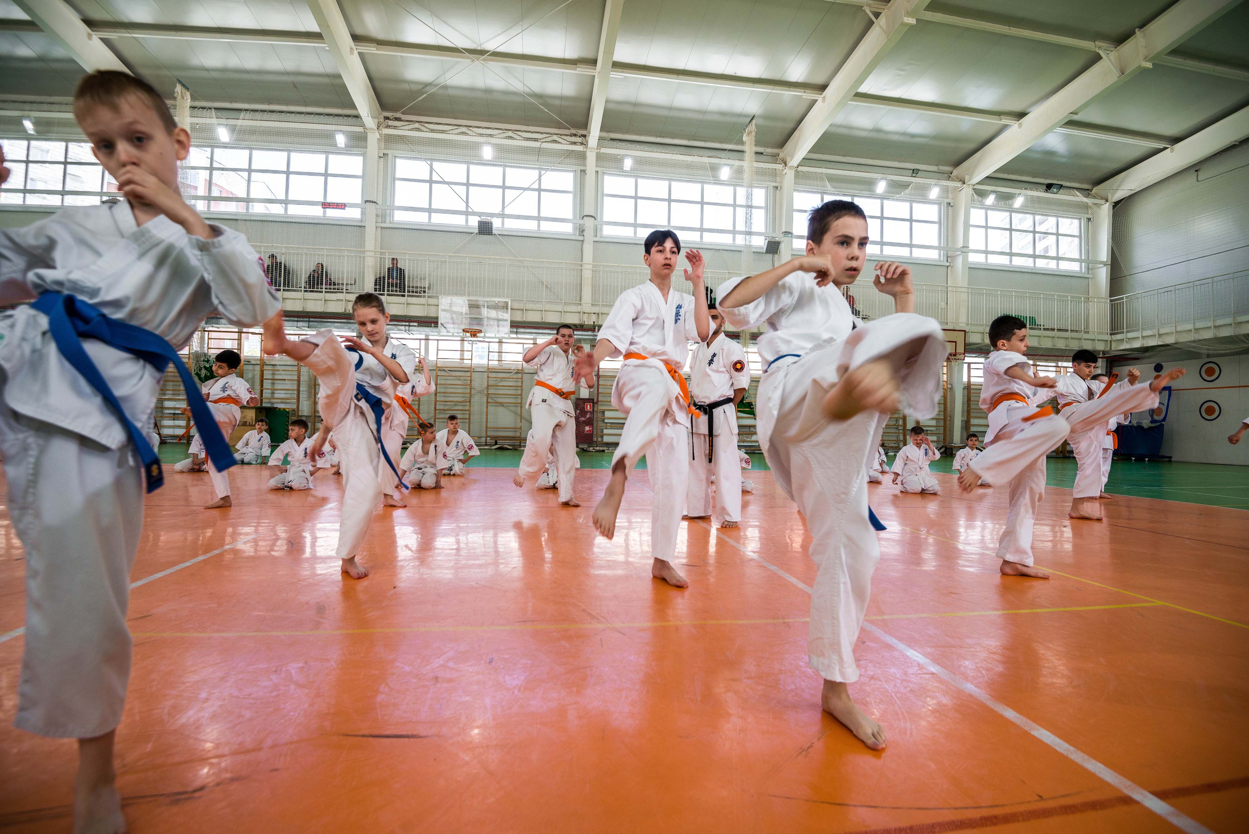 Аттестация киокошинкай клуб «ИППОН», Екатеринбург. Свадебный фотограф на Урале Виктор Соколов