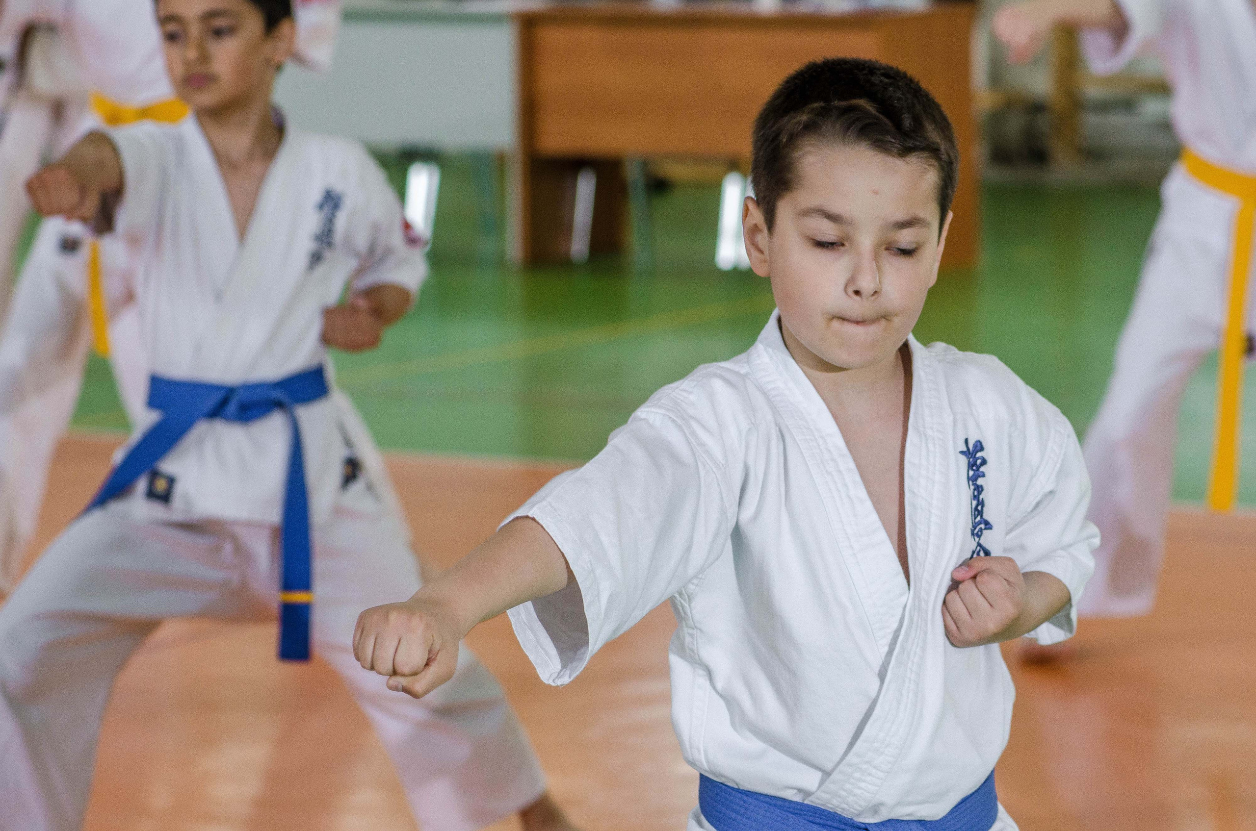 Аттестация киокошинкай клуб «ИППОН», Екатеринбург. Свадебный фотограф на Урале Виктор Соколов
