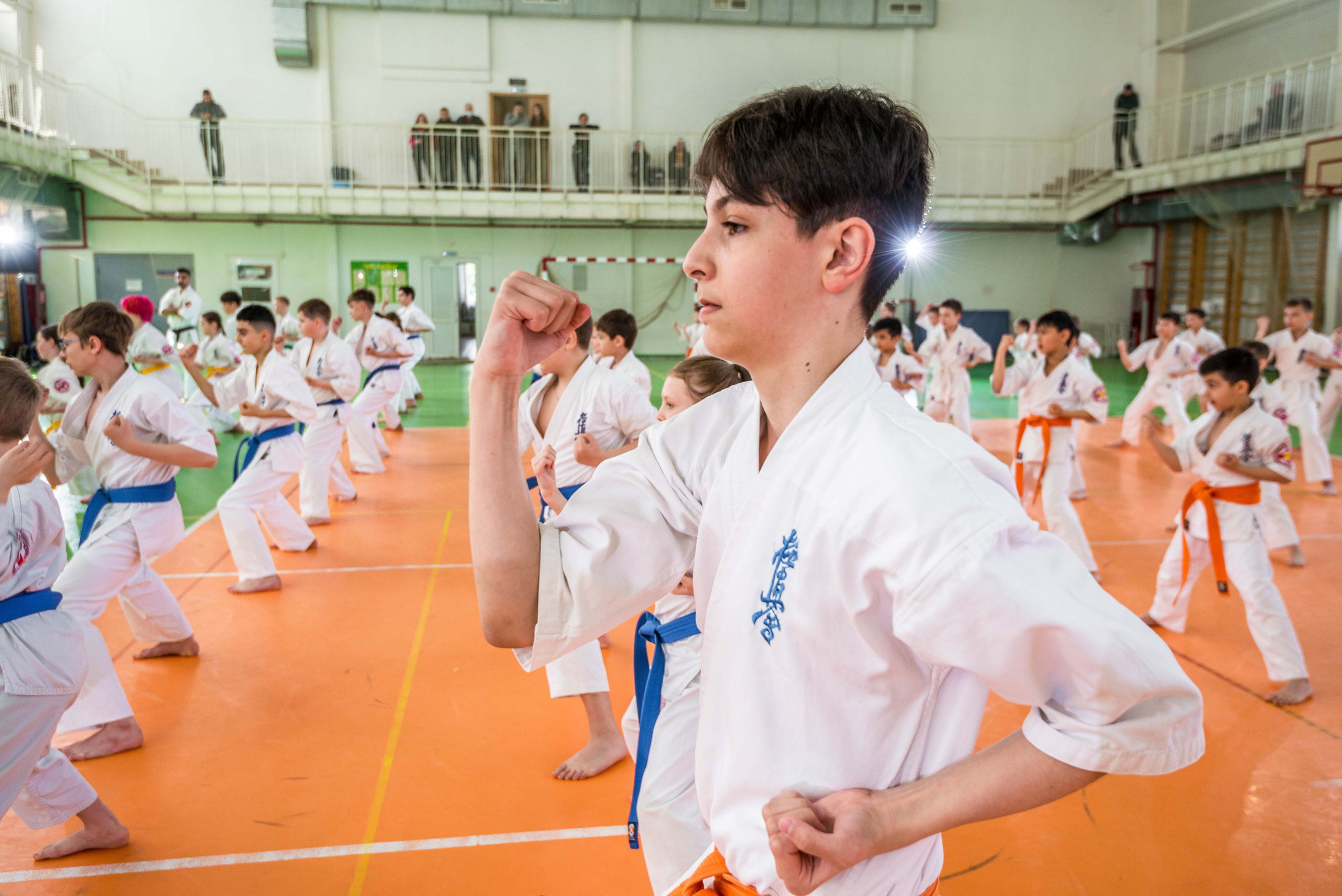 Аттестация киокошинкай клуб «ИППОН», Екатеринбург. Свадебный фотограф на Урале Виктор Соколов