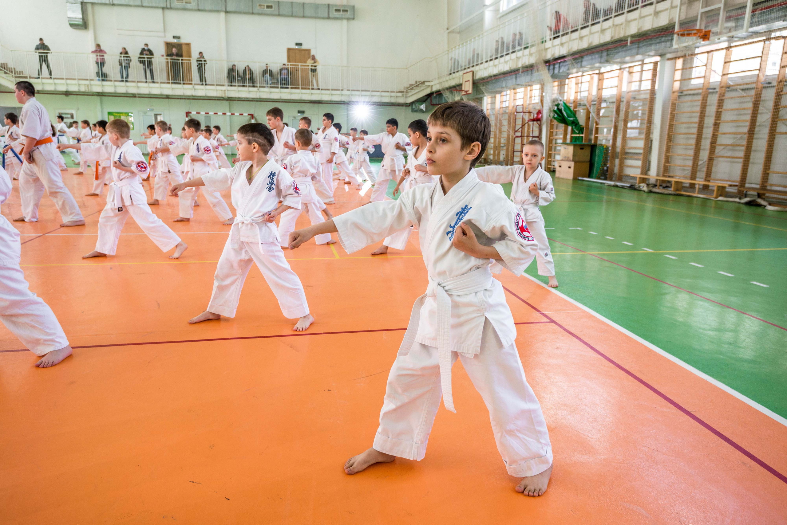 Аттестация киокошинкай клуб «ИППОН», Екатеринбург. Свадебный фотограф на Урале Виктор Соколов