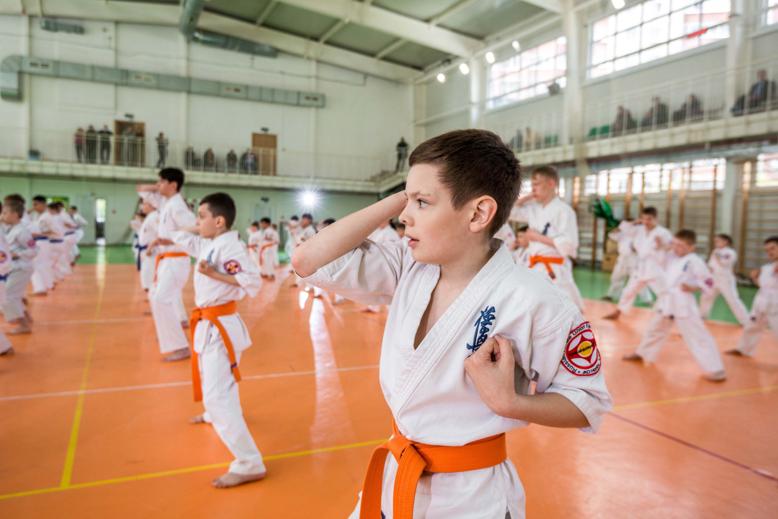 Аттестация киокошинкай клуб «ИППОН», Екатеринбург. Свадебный фотограф на Урале Виктор Соколов