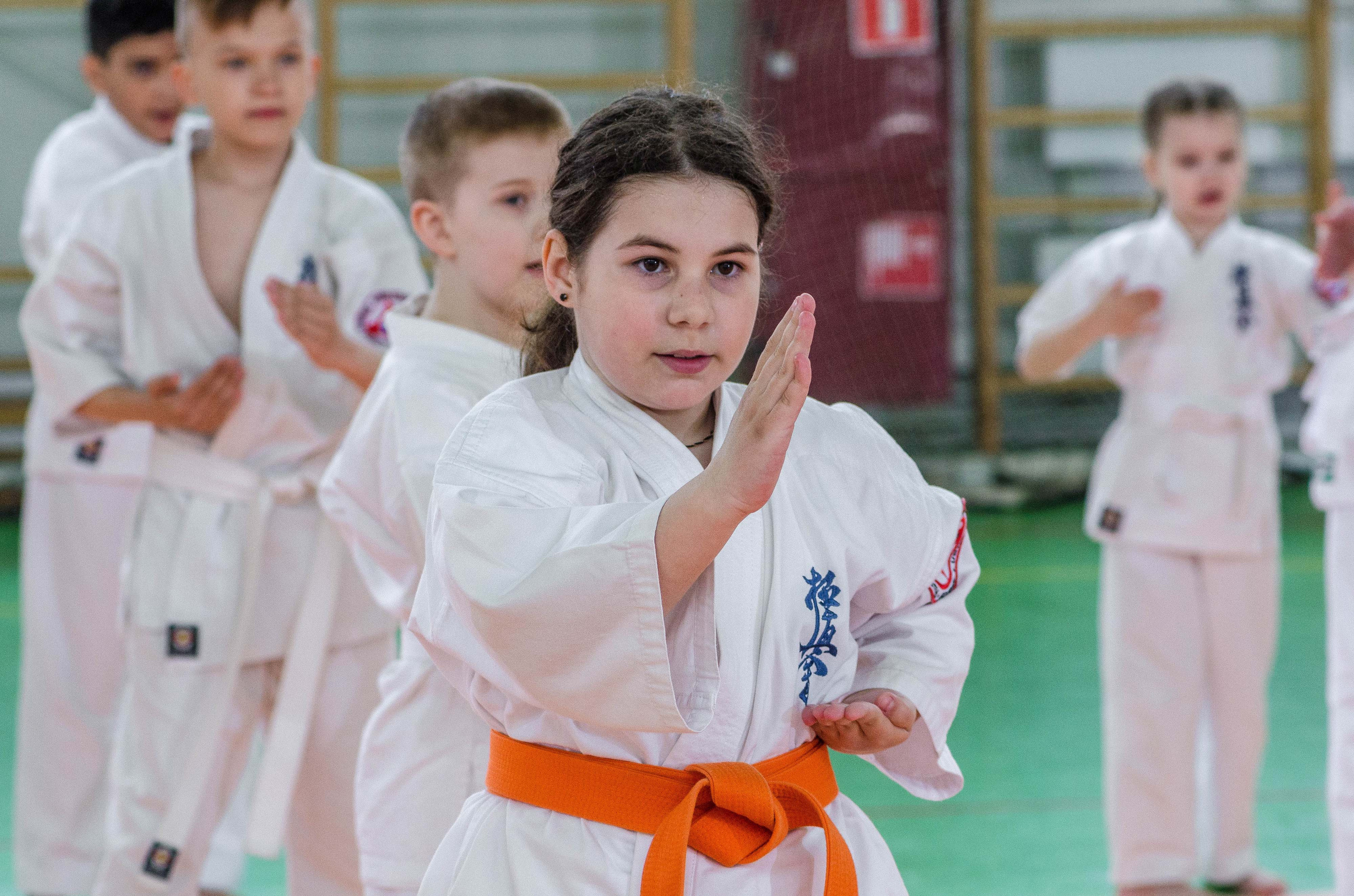 Аттестация киокошинкай клуб «ИППОН», Екатеринбург. Свадебный фотограф на Урале Виктор Соколов