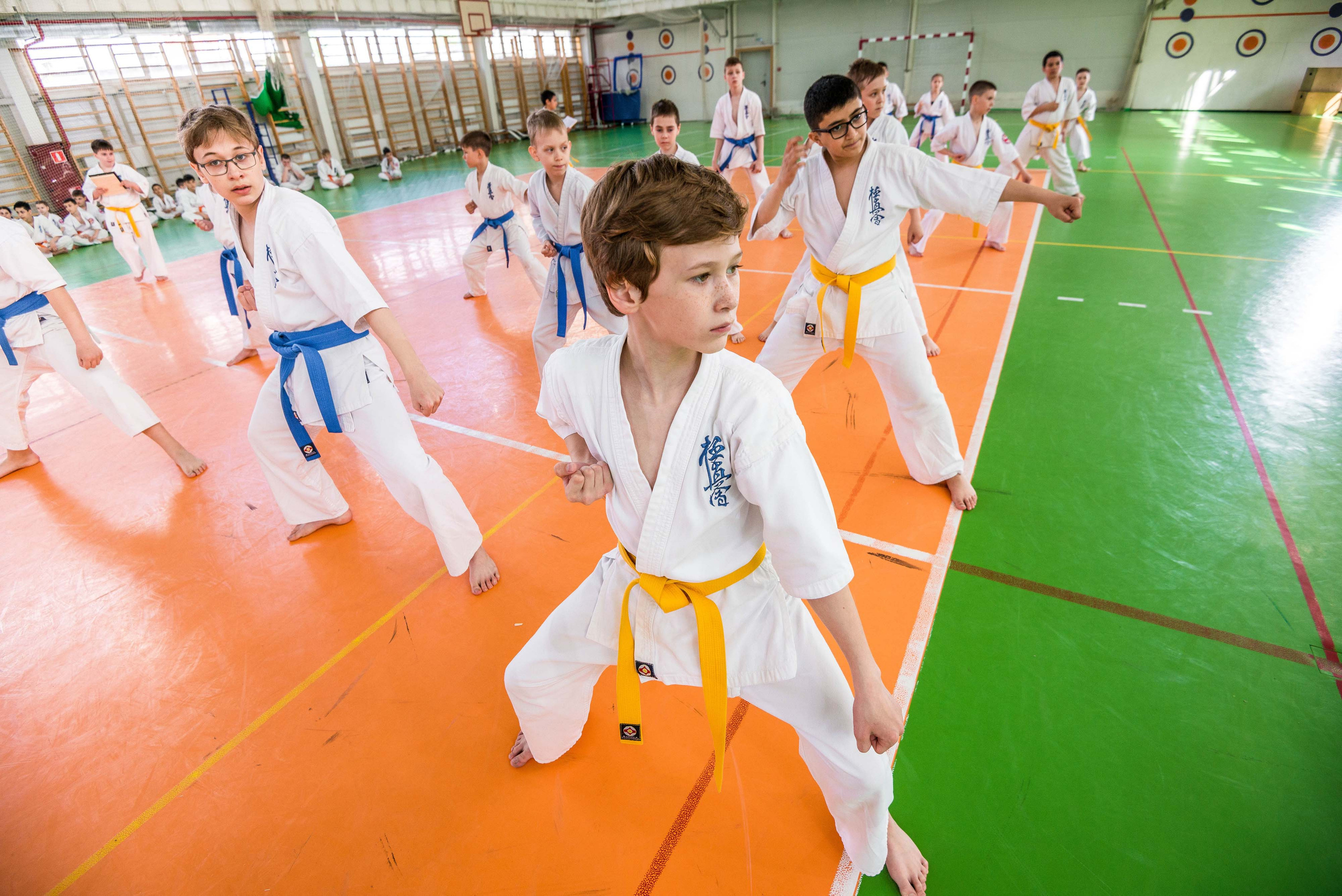 Аттестация киокошинкай клуб «ИППОН», Екатеринбург. Свадебный фотограф на Урале Виктор Соколов