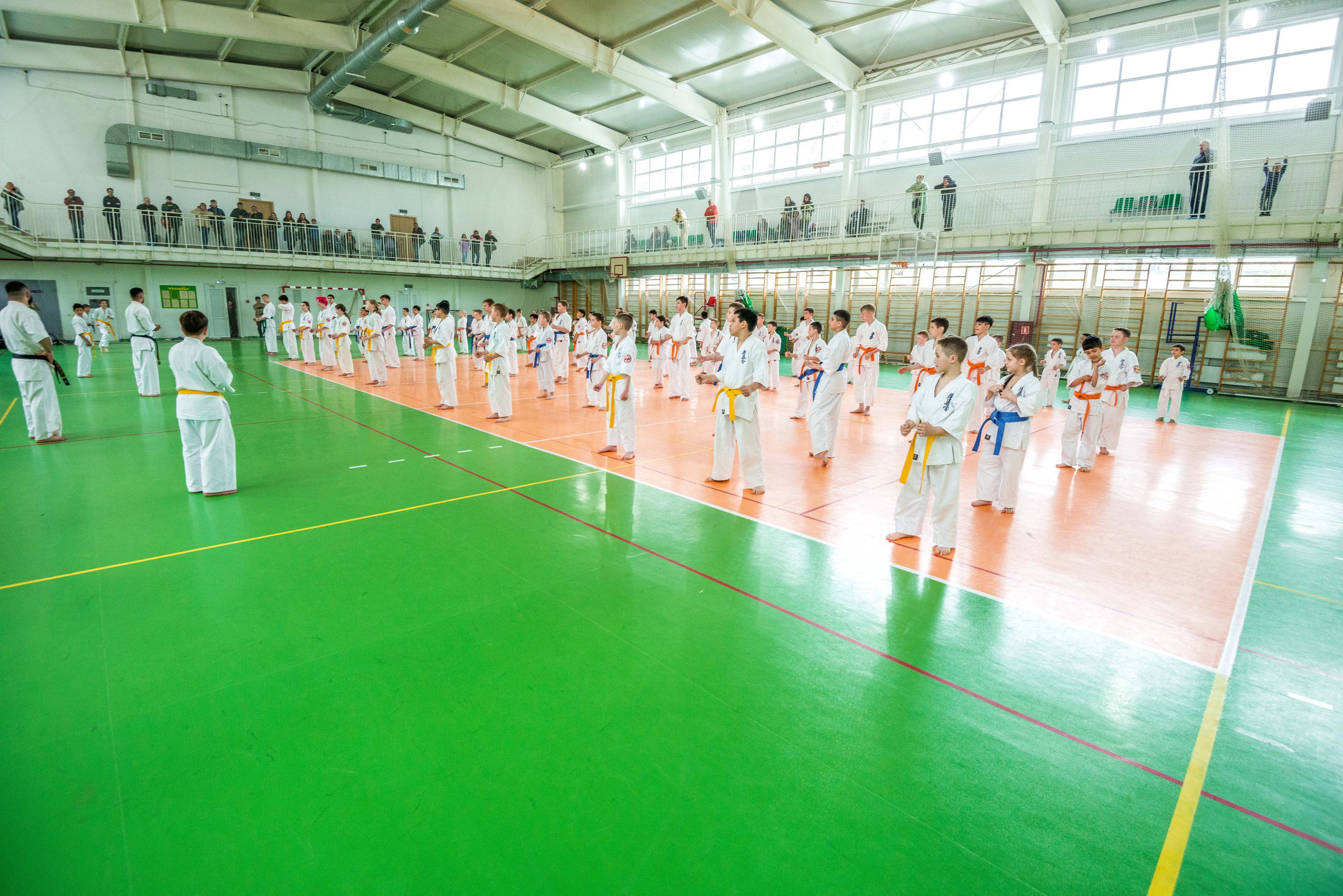 Аттестация киокошинкай клуб «ИППОН», Екатеринбург. Свадебный фотограф на Урале Виктор Соколов