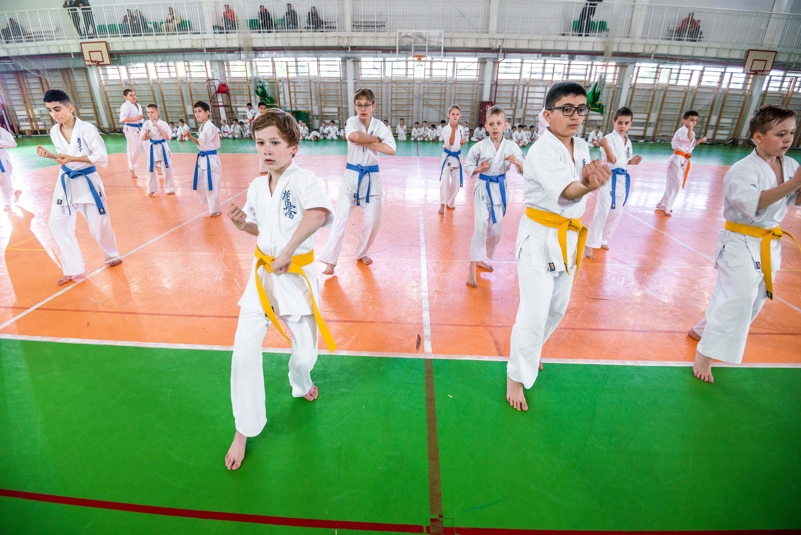Аттестация киокошинкай клуб «ИППОН», Екатеринбург. Свадебный фотограф на Урале Виктор Соколов