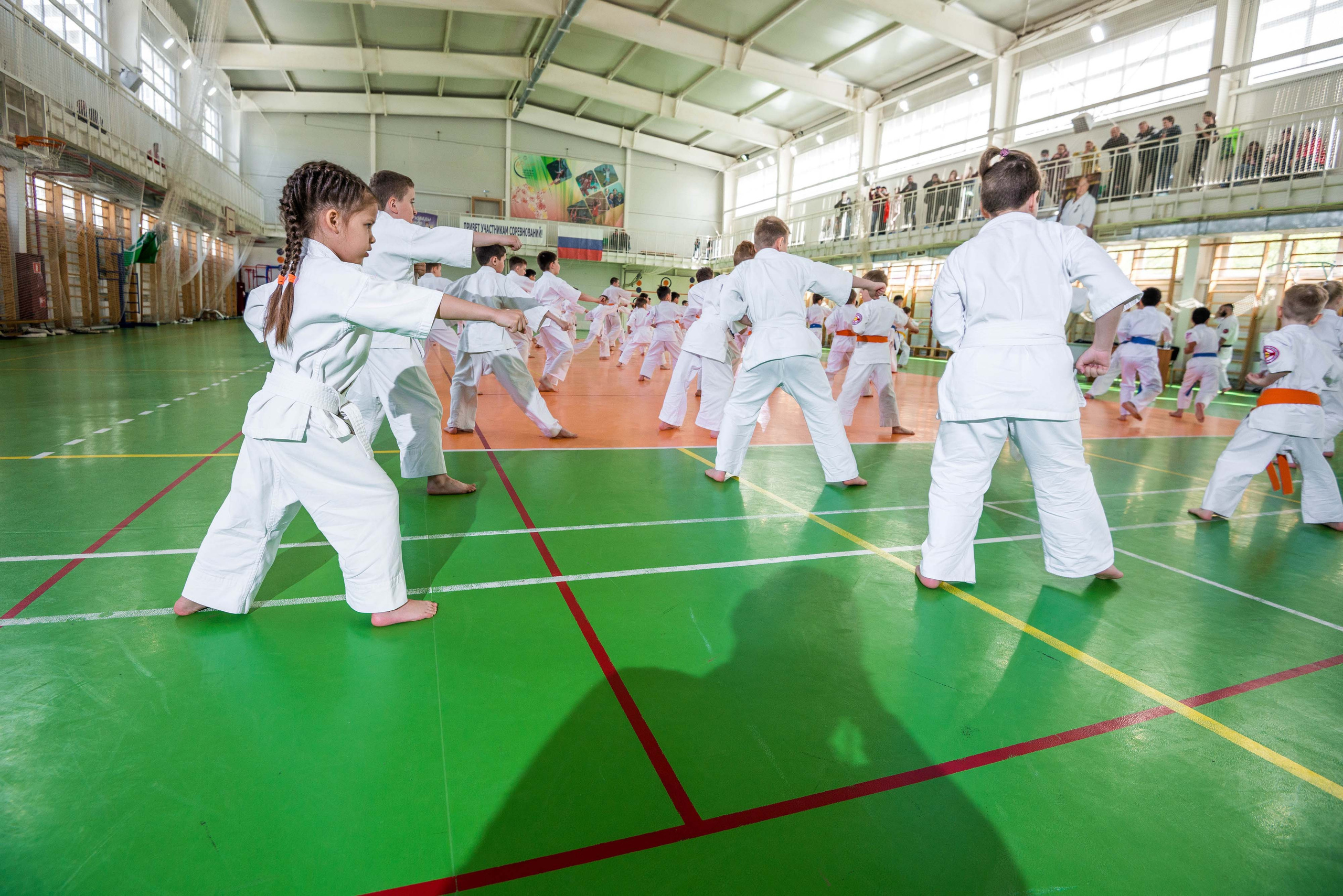 Аттестация киокошинкай клуб «ИППОН», Екатеринбург. Свадебный фотограф на Урале Виктор Соколов