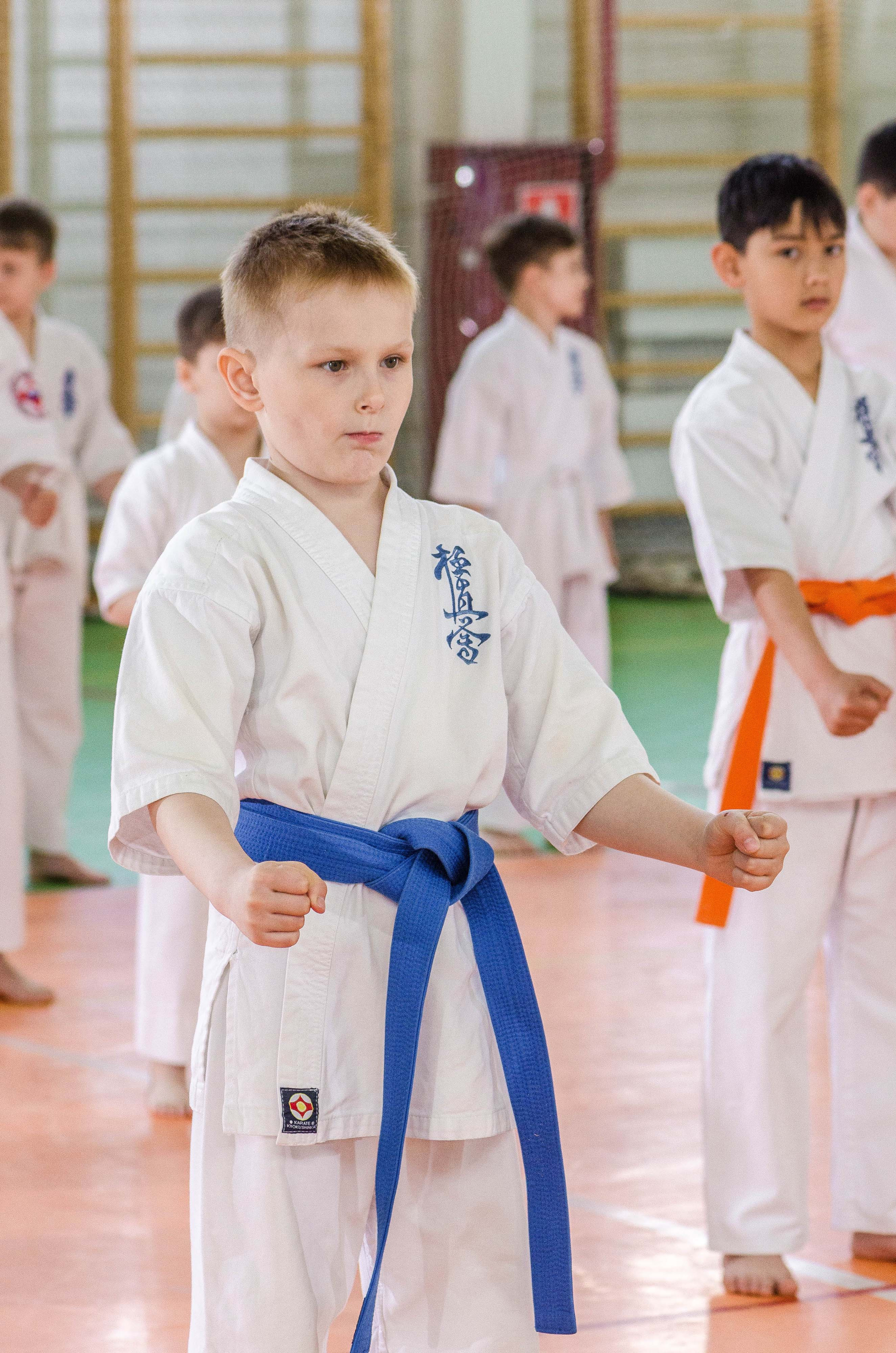 Аттестация киокошинкай клуб «ИППОН», Екатеринбург. Свадебный фотограф на Урале Виктор Соколов