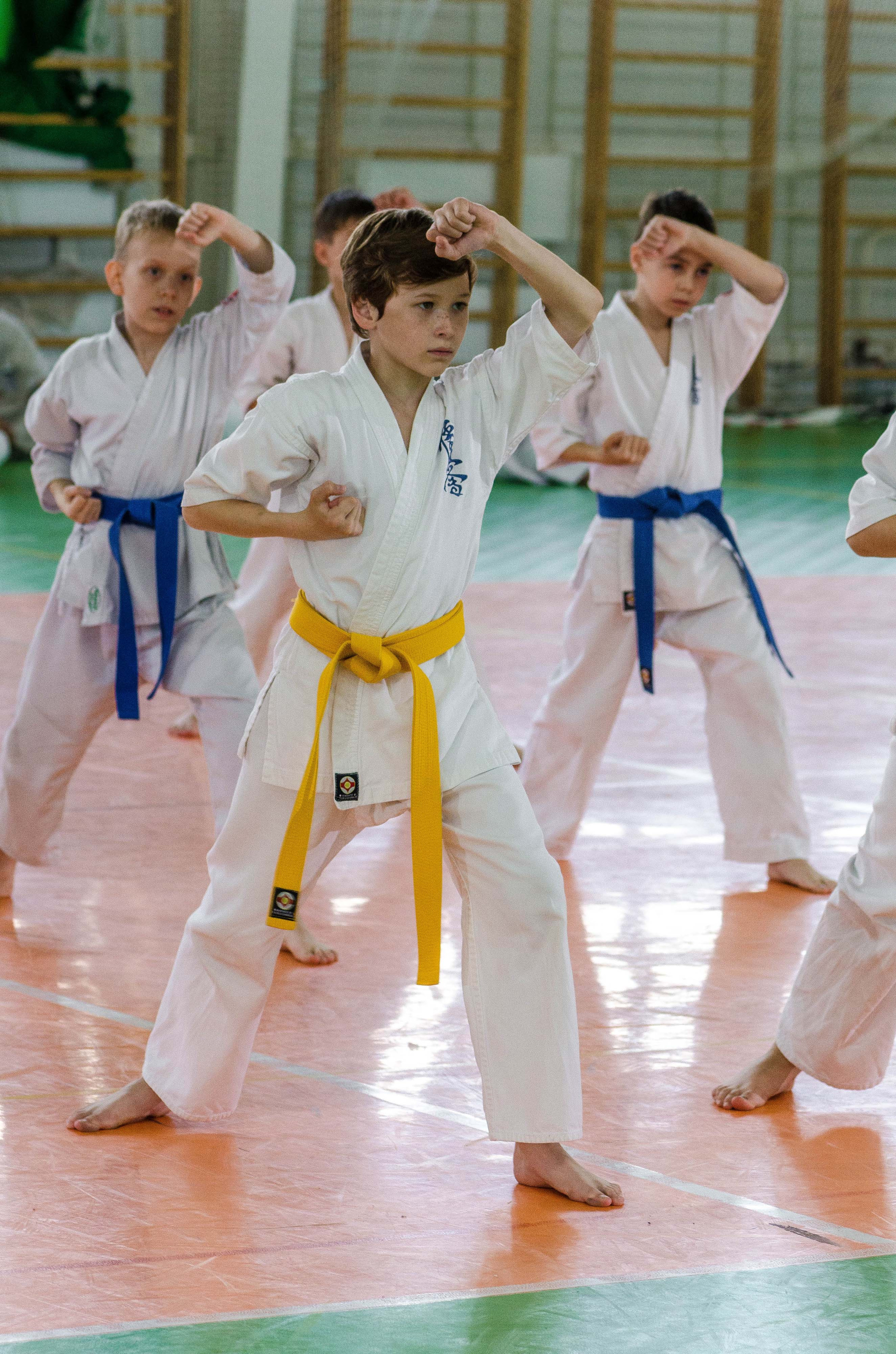 Аттестация киокошинкай клуб «ИППОН», Екатеринбург. Свадебный фотограф на Урале Виктор Соколов