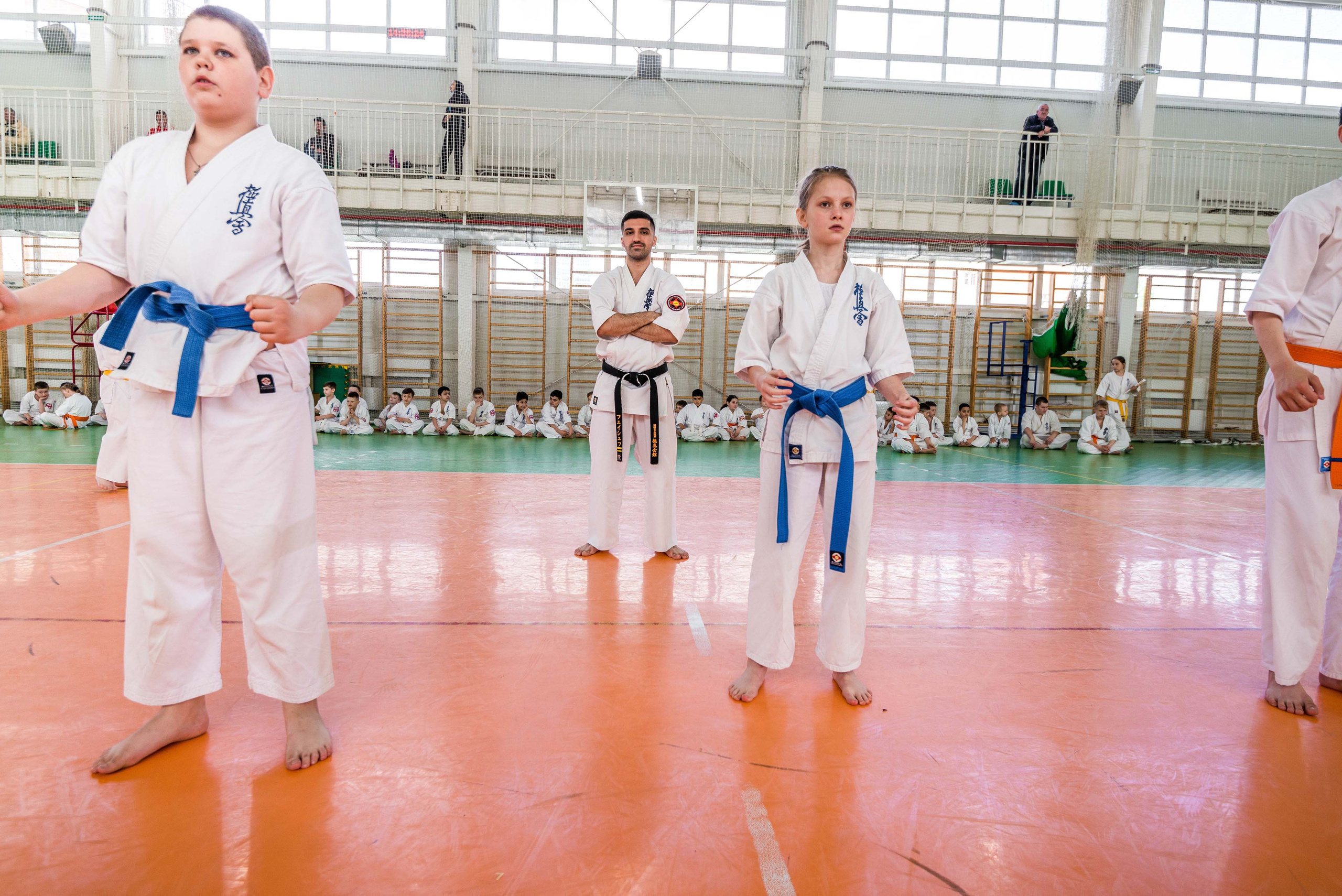 Аттестация киокошинкай клуб «ИППОН», Екатеринбург. Свадебный фотограф на Урале Виктор Соколов