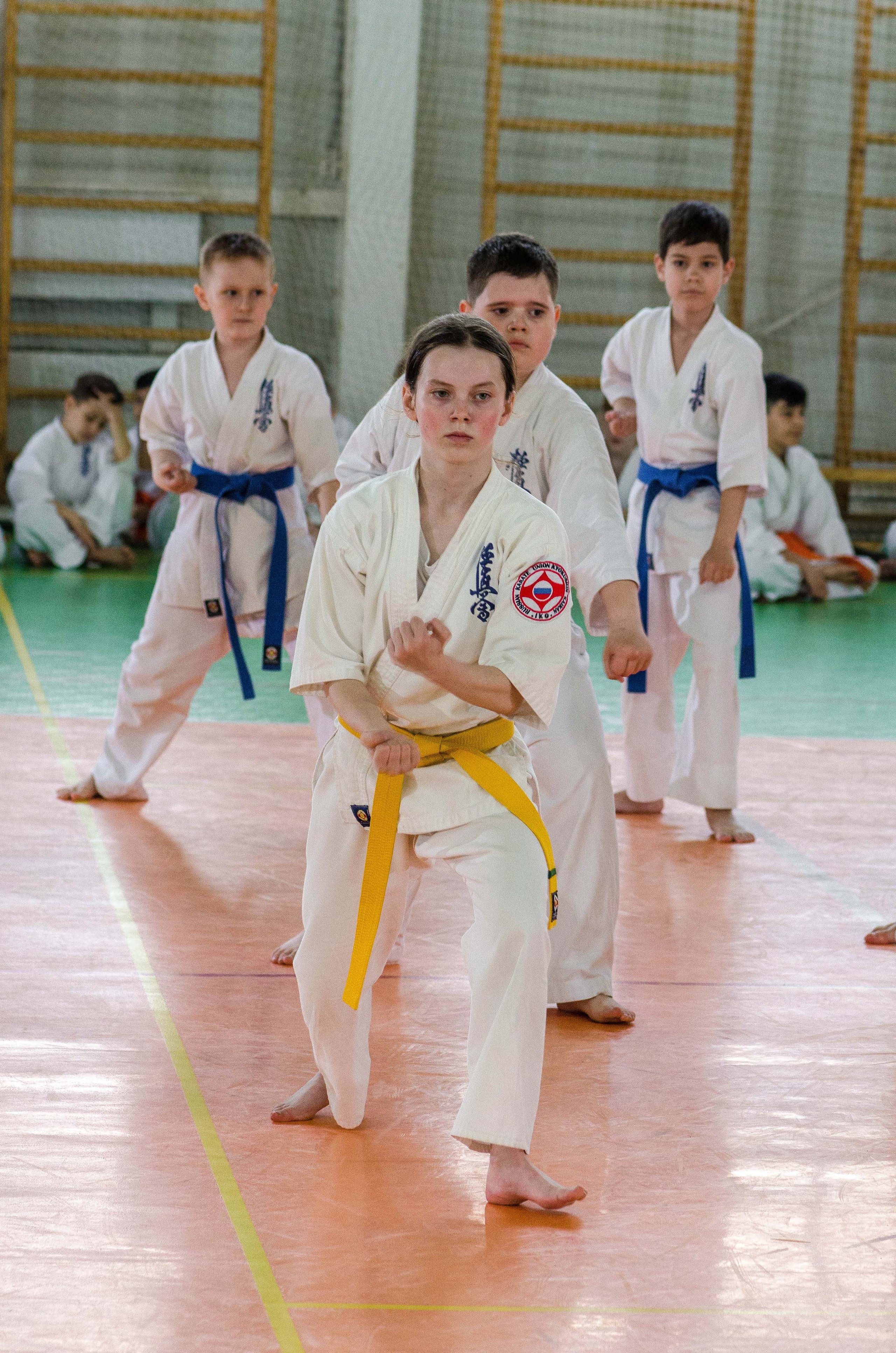 Аттестация киокошинкай клуб «ИППОН», Екатеринбург. Свадебный фотограф на Урале Виктор Соколов