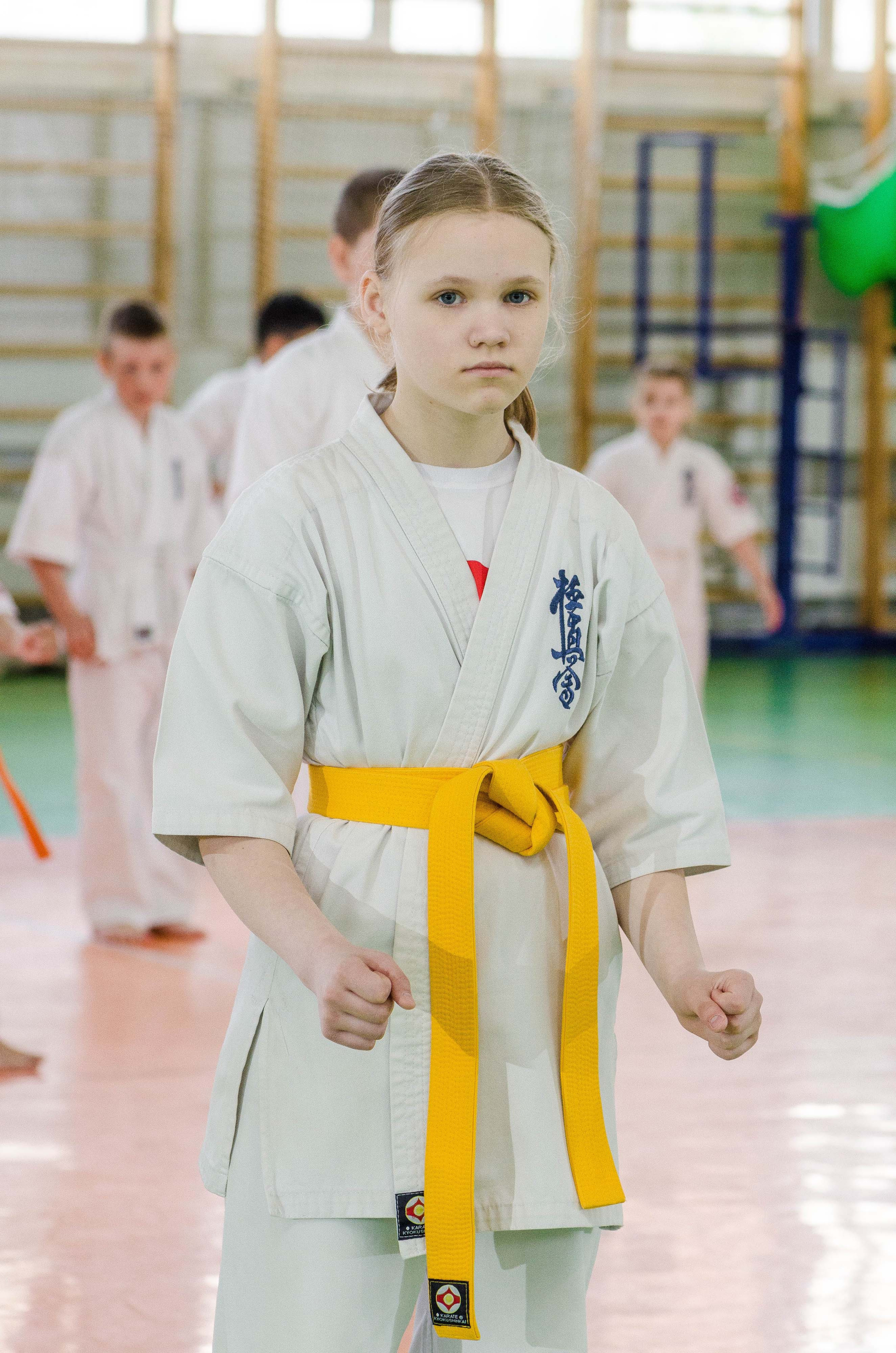 Аттестация киокошинкай клуб «ИППОН», Екатеринбург. Свадебный фотограф на Урале Виктор Соколов