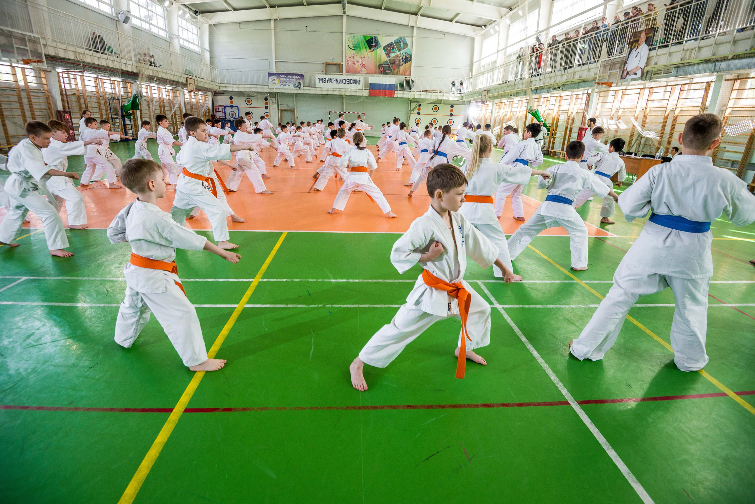 Аттестация киокошинкай клуб «ИППОН», Екатеринбург. Свадебный фотограф на Урале Виктор Соколов