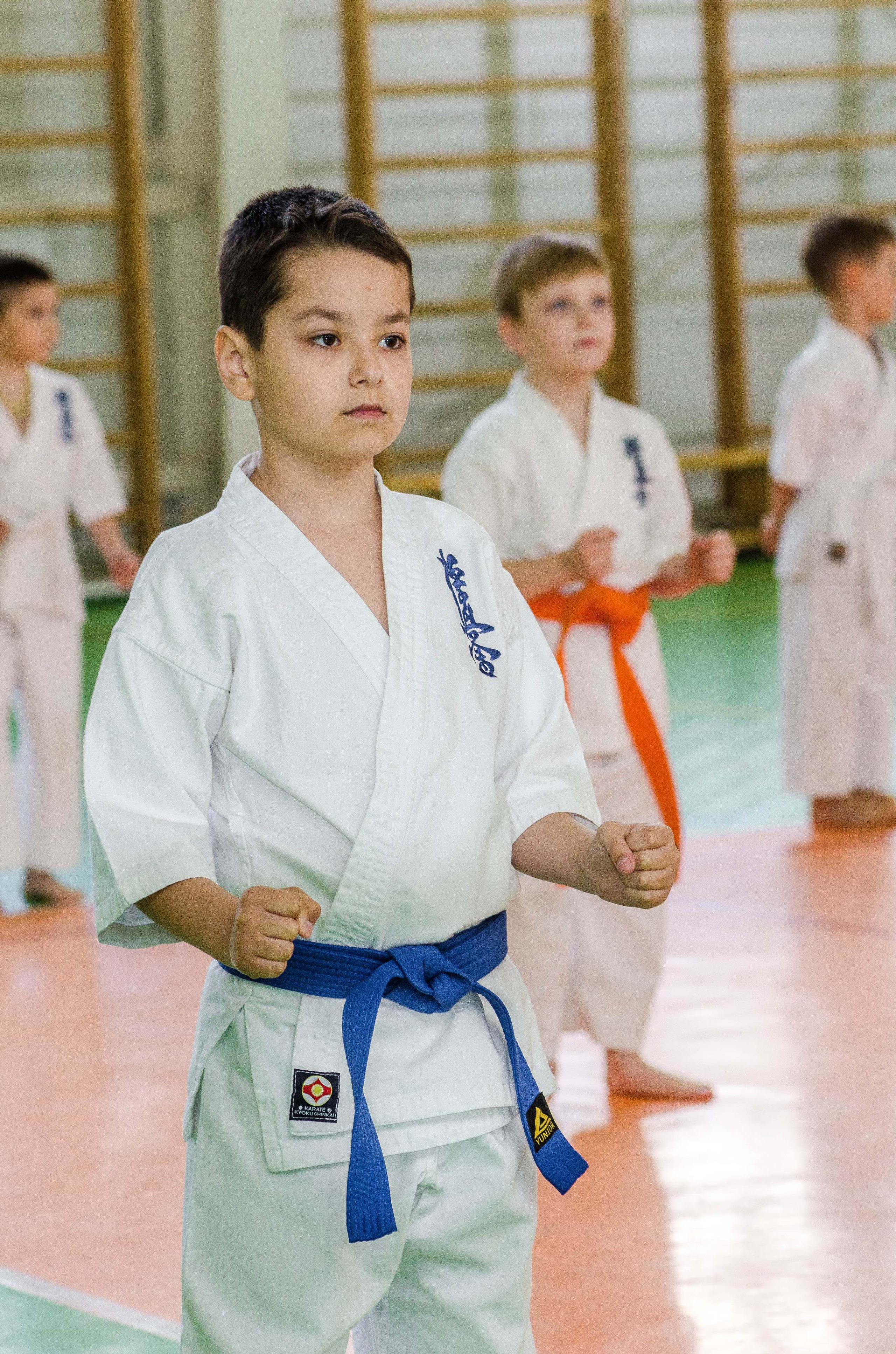 Аттестация киокошинкай клуб «ИППОН», Екатеринбург. Свадебный фотограф на Урале Виктор Соколов