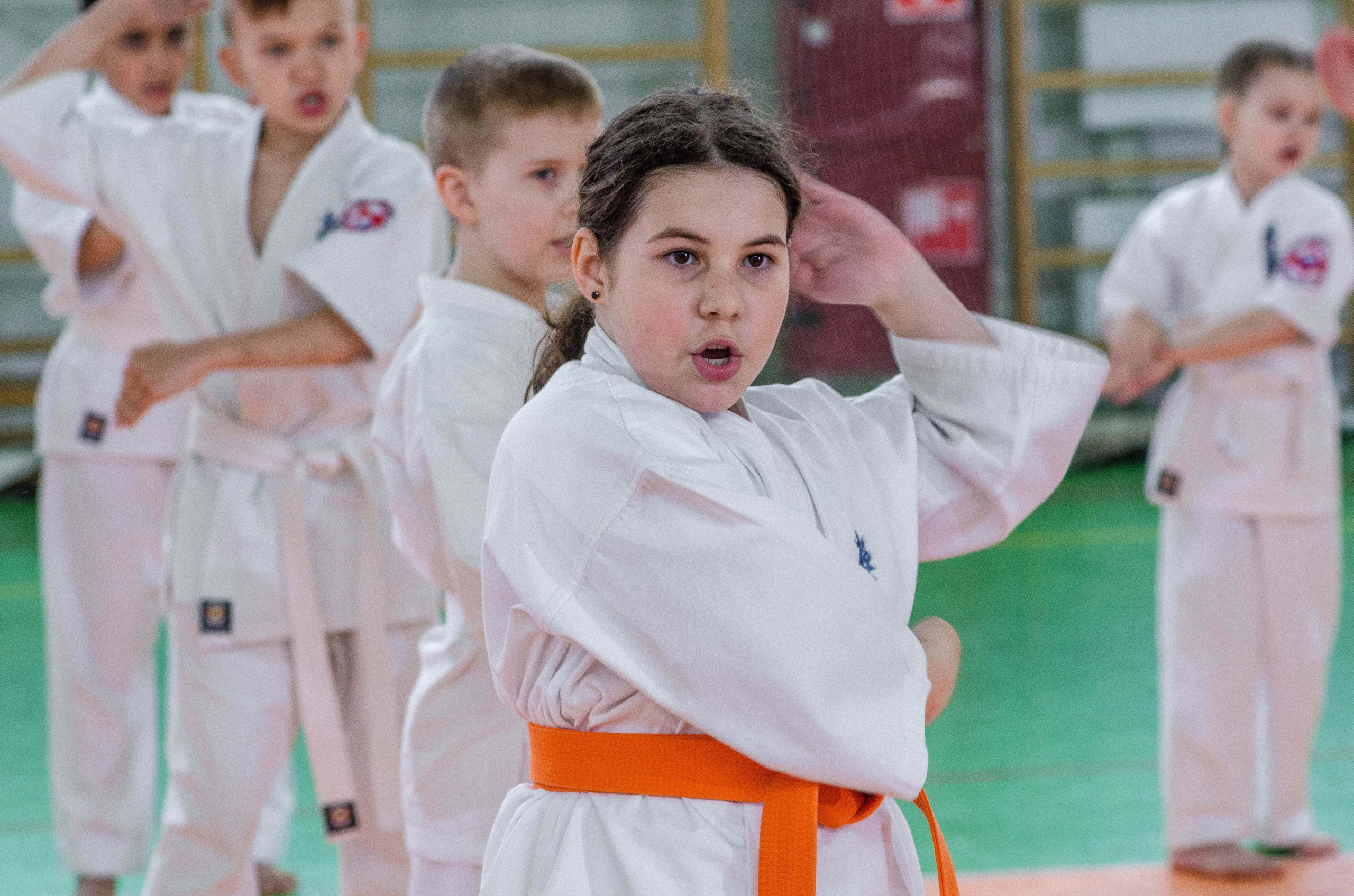 Аттестация киокошинкай клуб «ИППОН», Екатеринбург. Свадебный фотограф на Урале Виктор Соколов