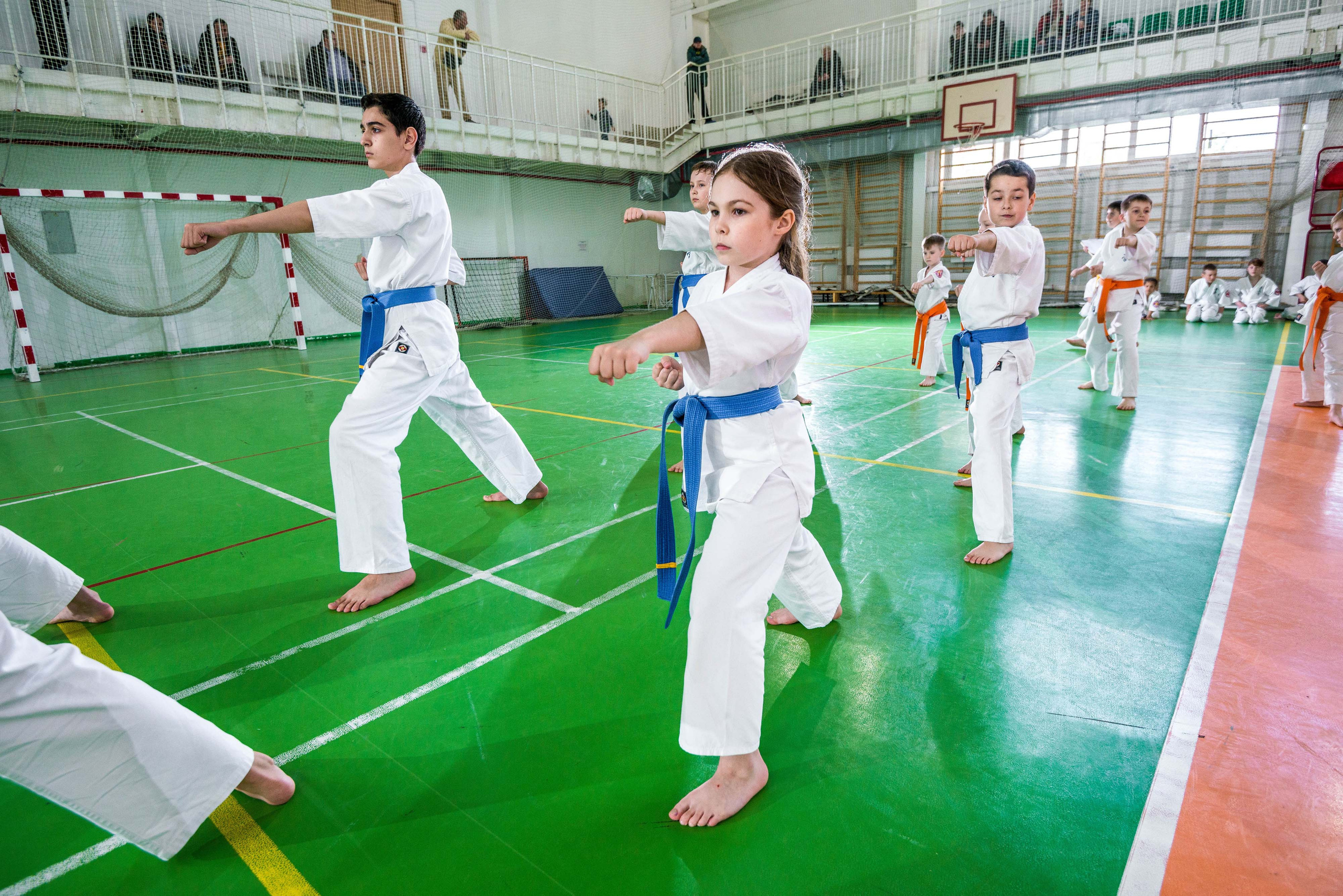 Аттестация киокошинкай клуб «ИППОН», Екатеринбург. Свадебный фотограф на Урале Виктор Соколов