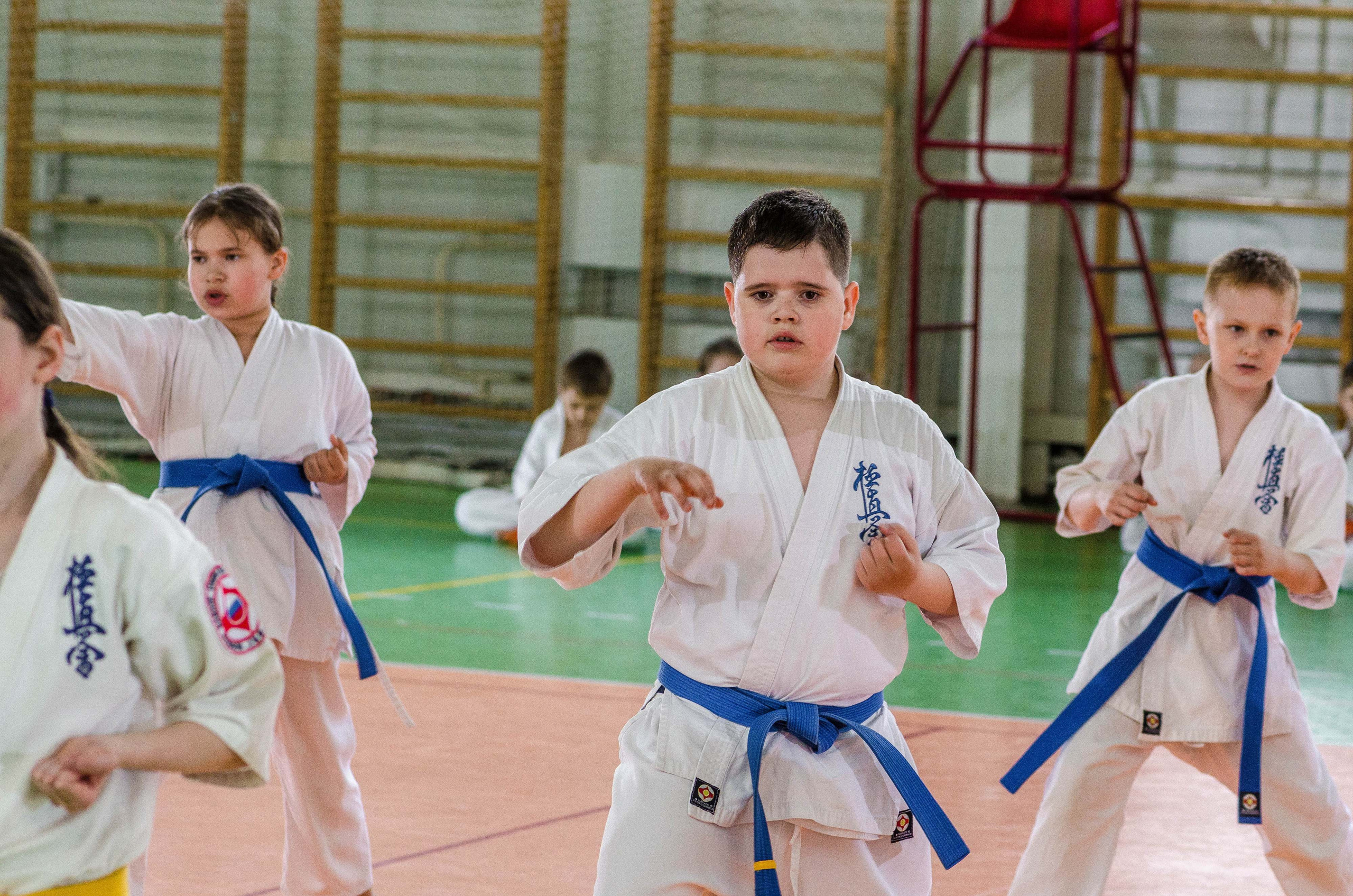 Аттестация киокошинкай клуб «ИППОН», Екатеринбург. Свадебный фотограф на Урале Виктор Соколов