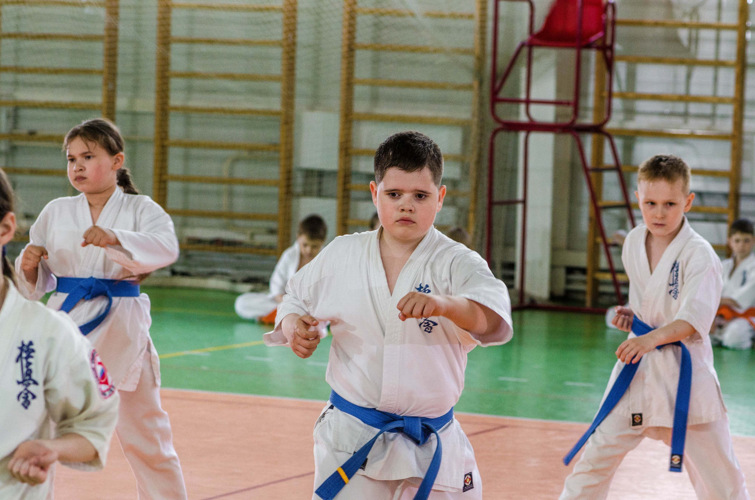 Аттестация киокошинкай клуб «ИППОН», Екатеринбург. Свадебный фотограф на Урале Виктор Соколов