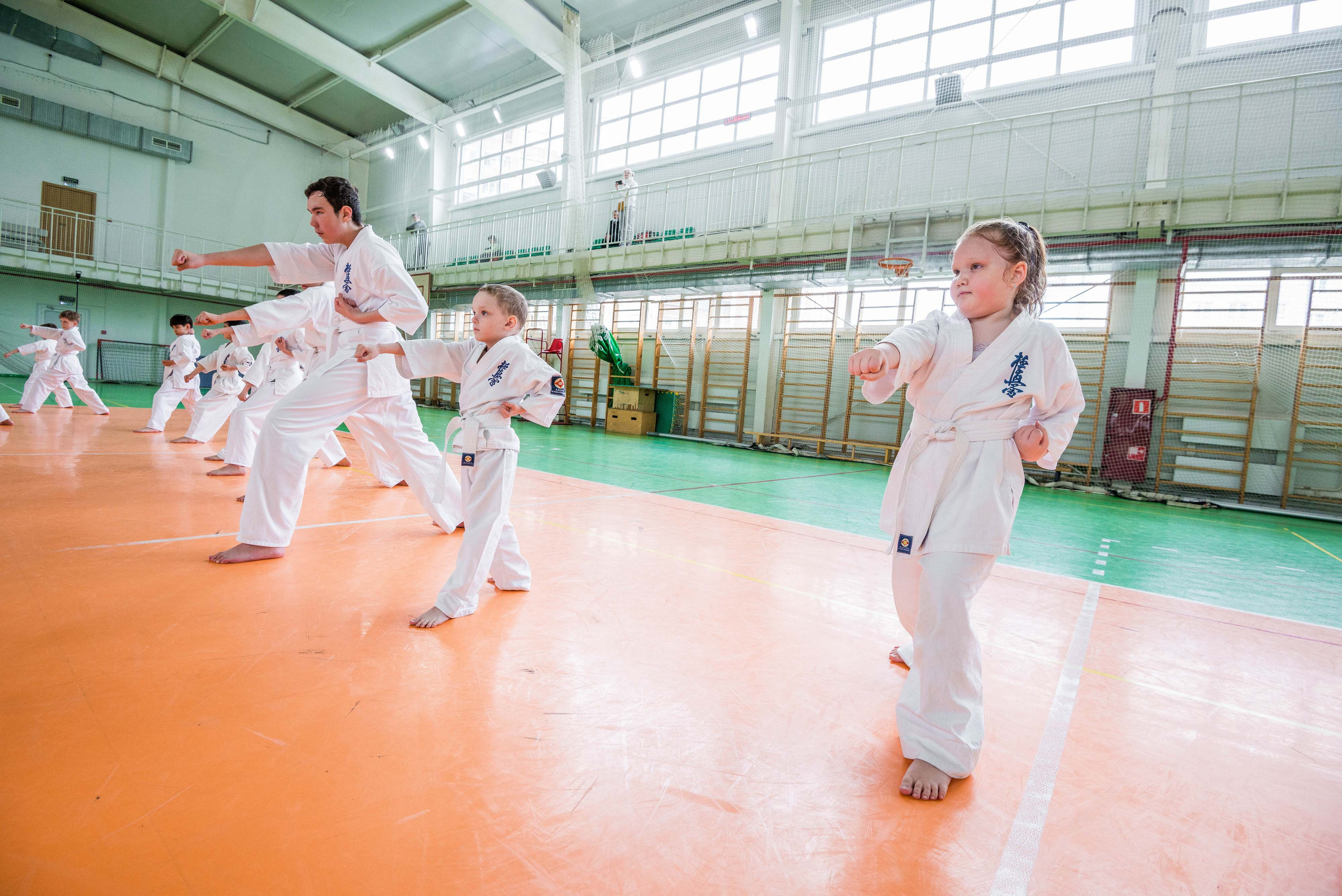 Аттестация киокошинкай клуб «ИППОН», Екатеринбург. Свадебный фотограф на Урале Виктор Соколов