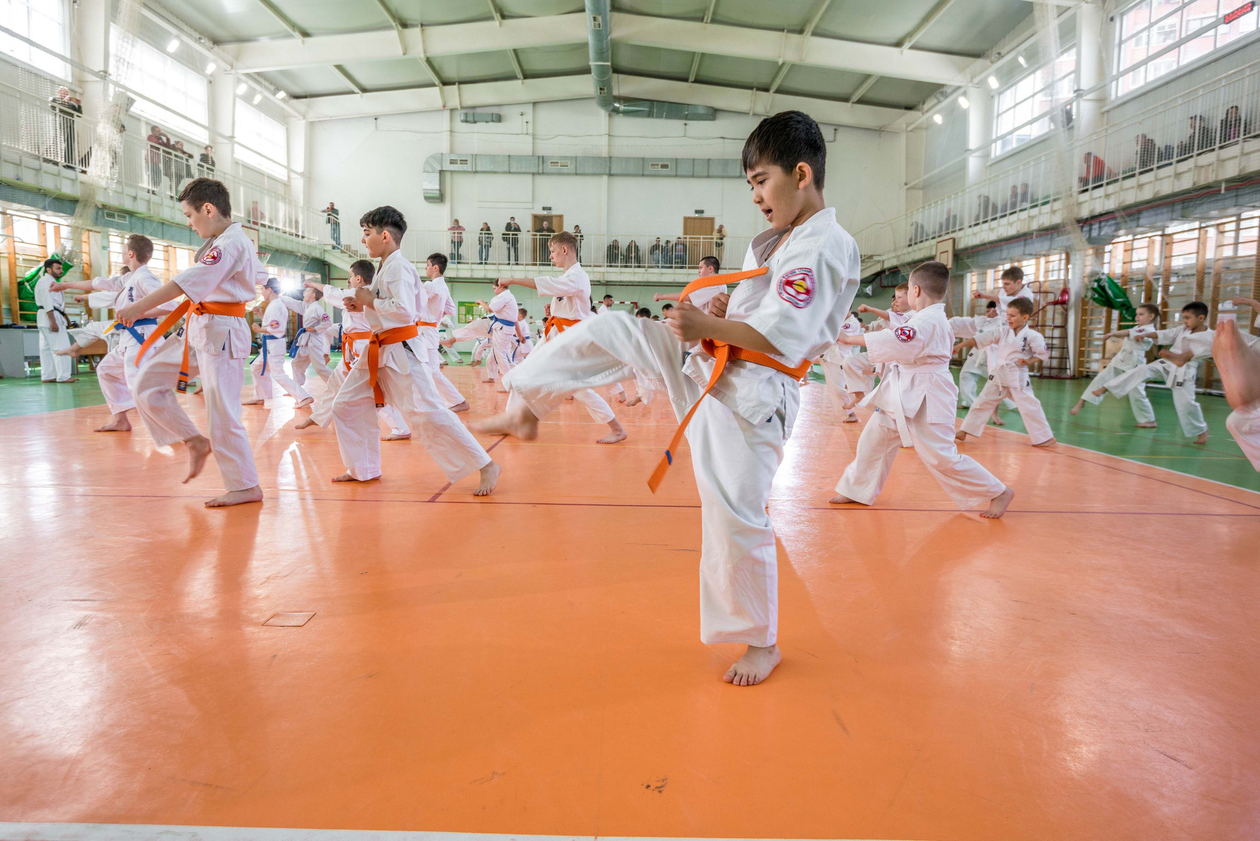 Аттестация киокошинкай клуб «ИППОН», Екатеринбург. Свадебный фотограф на Урале Виктор Соколов
