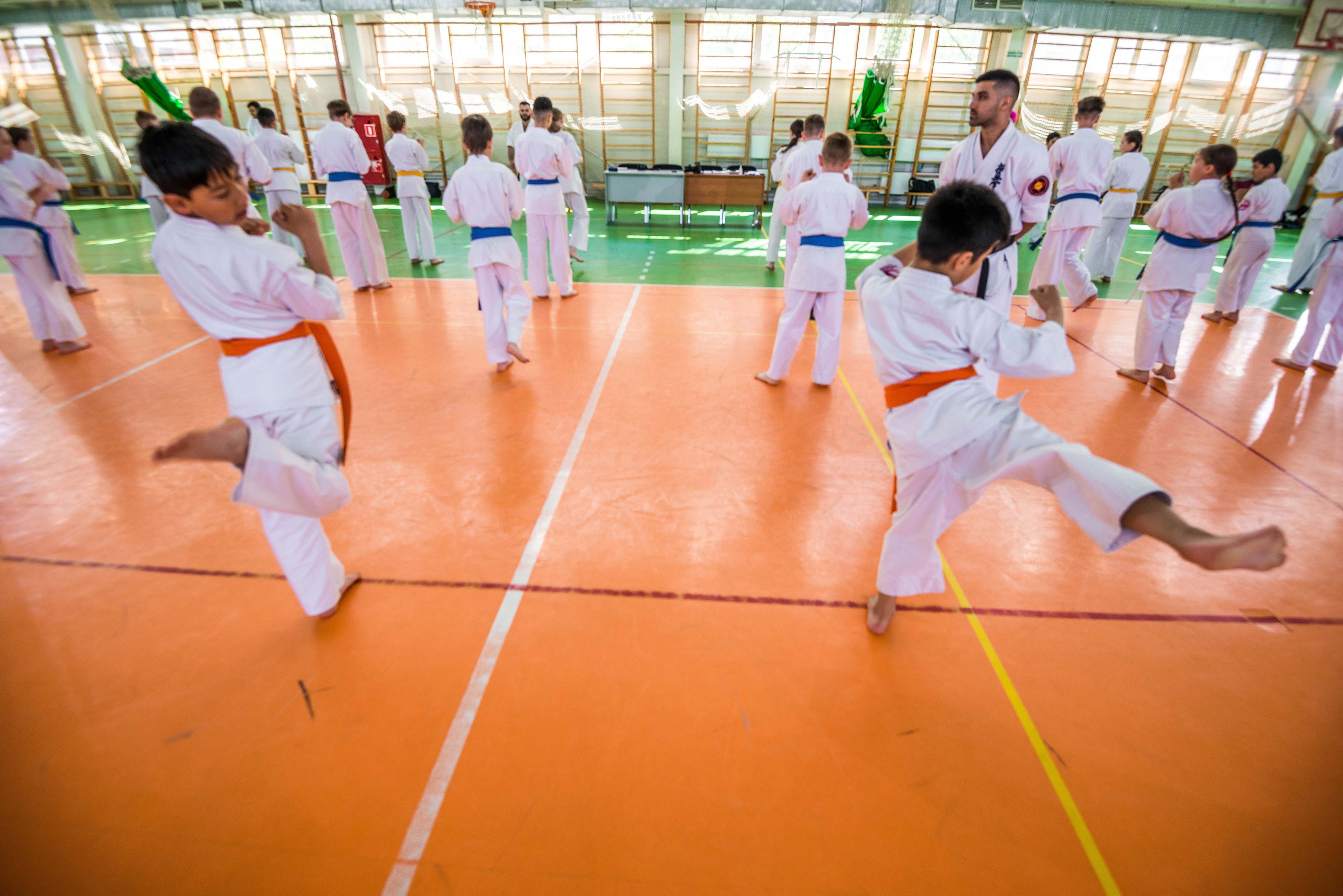 Аттестация киокошинкай клуб «ИППОН», Екатеринбург. Свадебный фотограф на Урале Виктор Соколов
