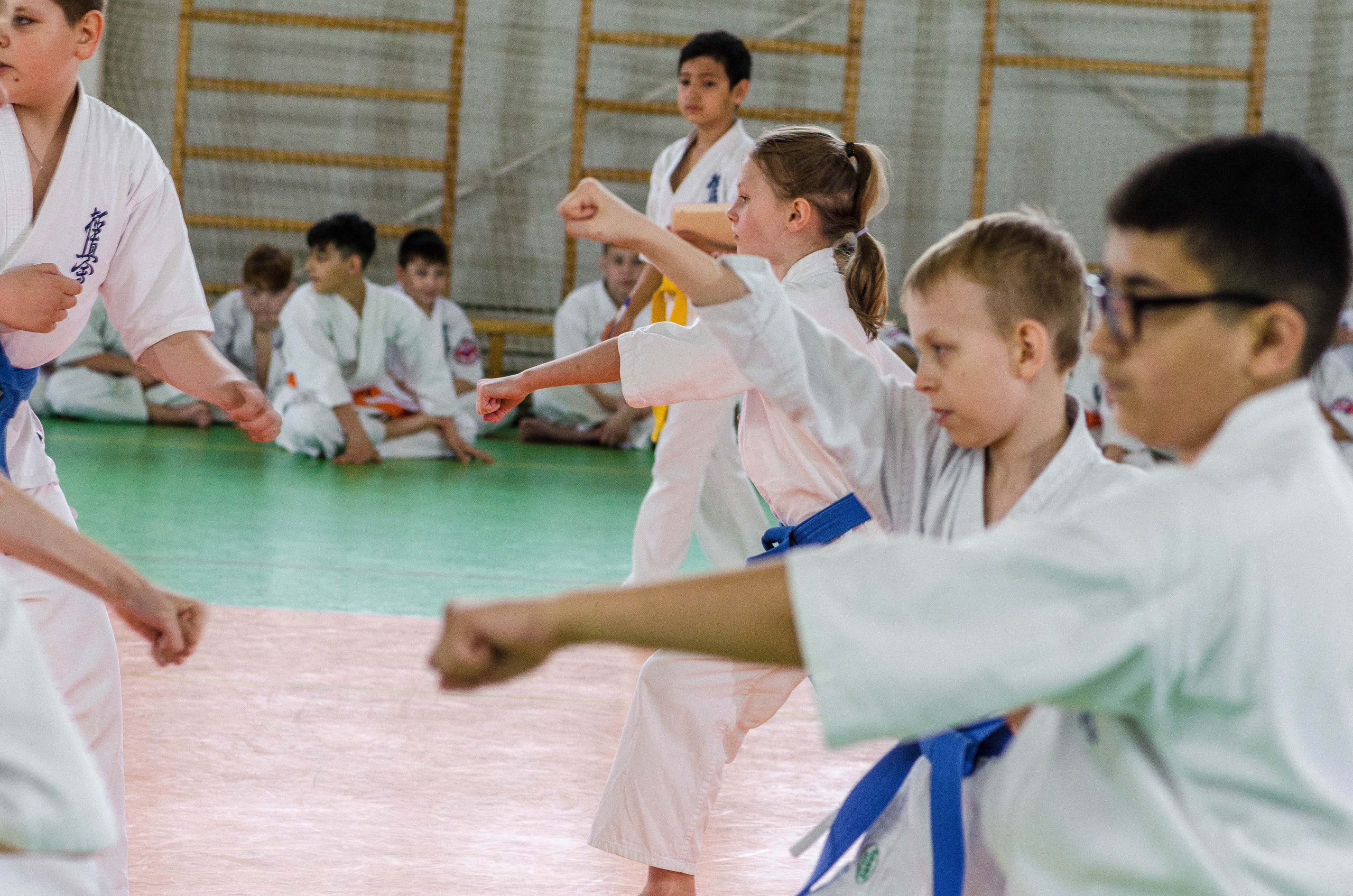 Аттестация киокошинкай клуб «ИППОН», Екатеринбург. Свадебный фотограф на Урале Виктор Соколов