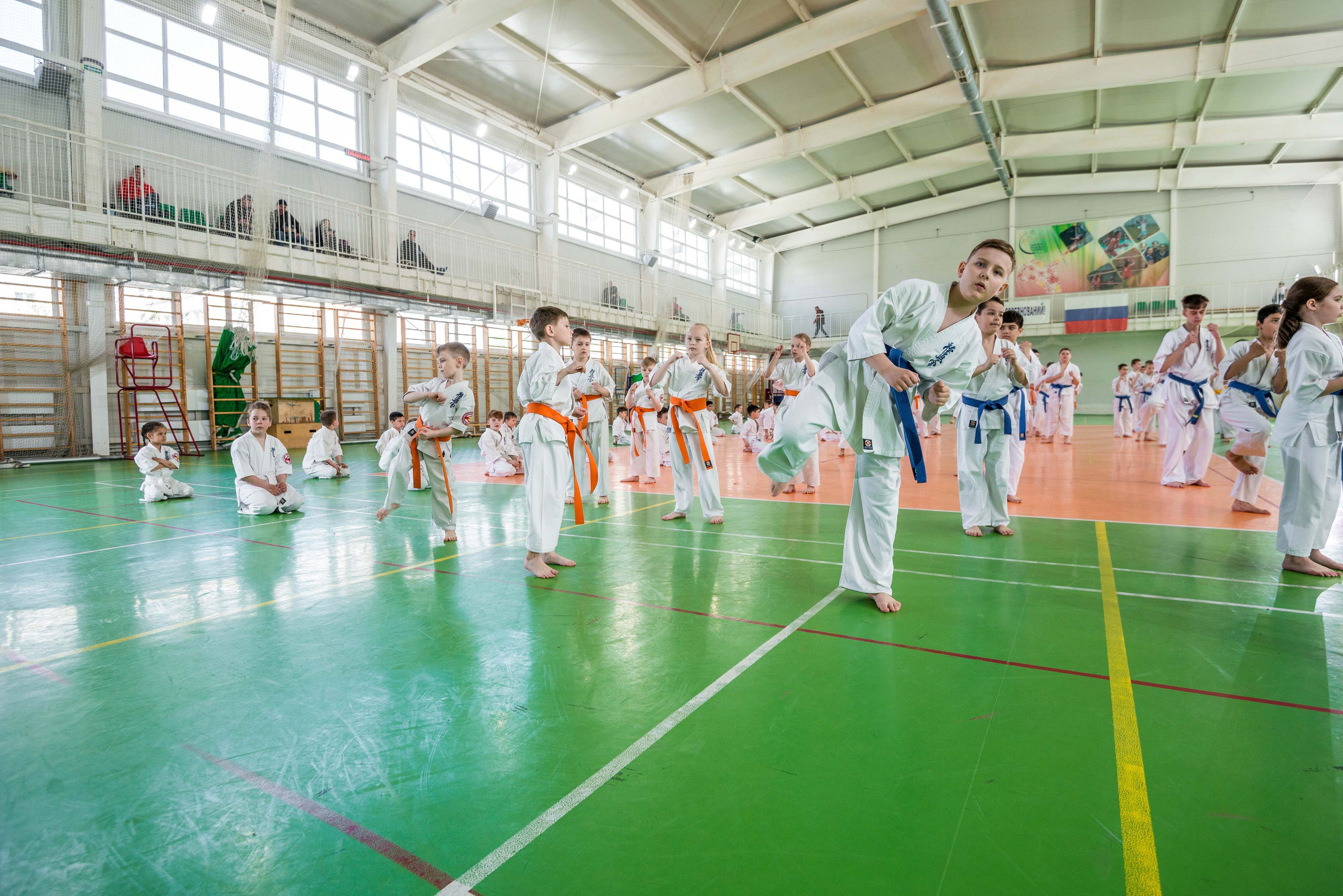 Аттестация киокошинкай клуб «ИППОН», Екатеринбург. Свадебный фотограф на Урале Виктор Соколов