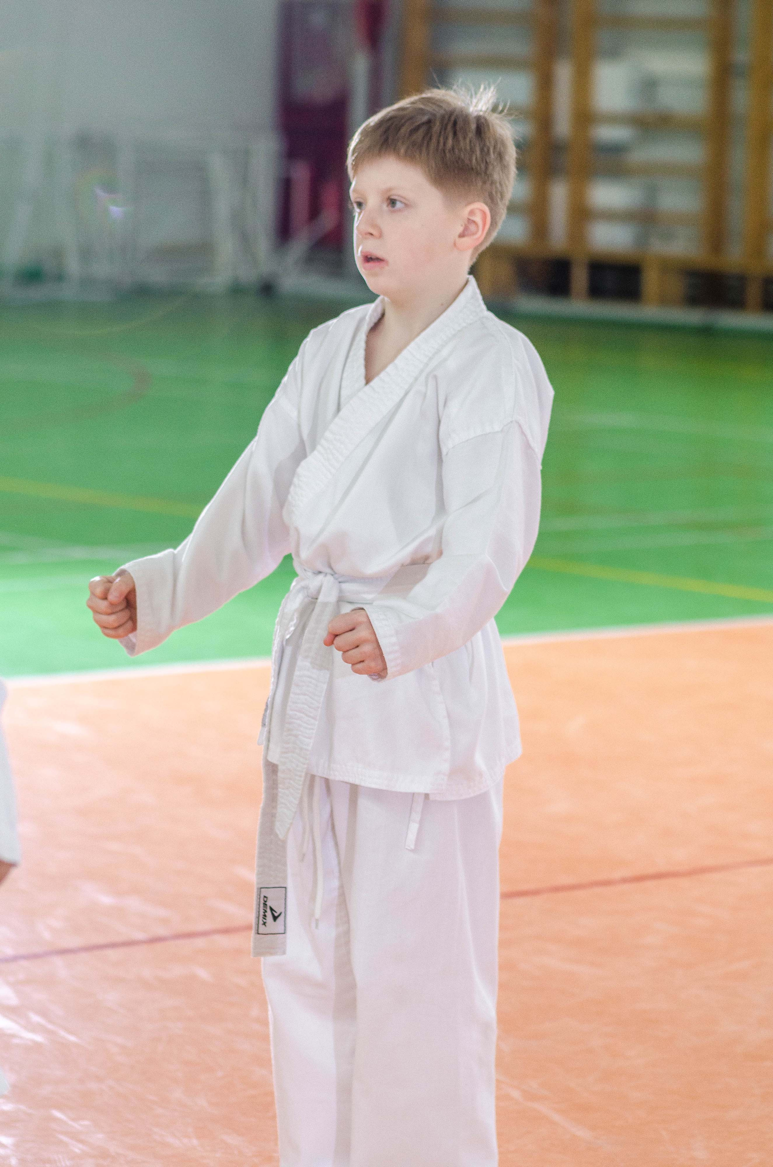 Аттестация киокошинкай клуб «ИППОН», Екатеринбург. Свадебный фотограф на Урале Виктор Соколов