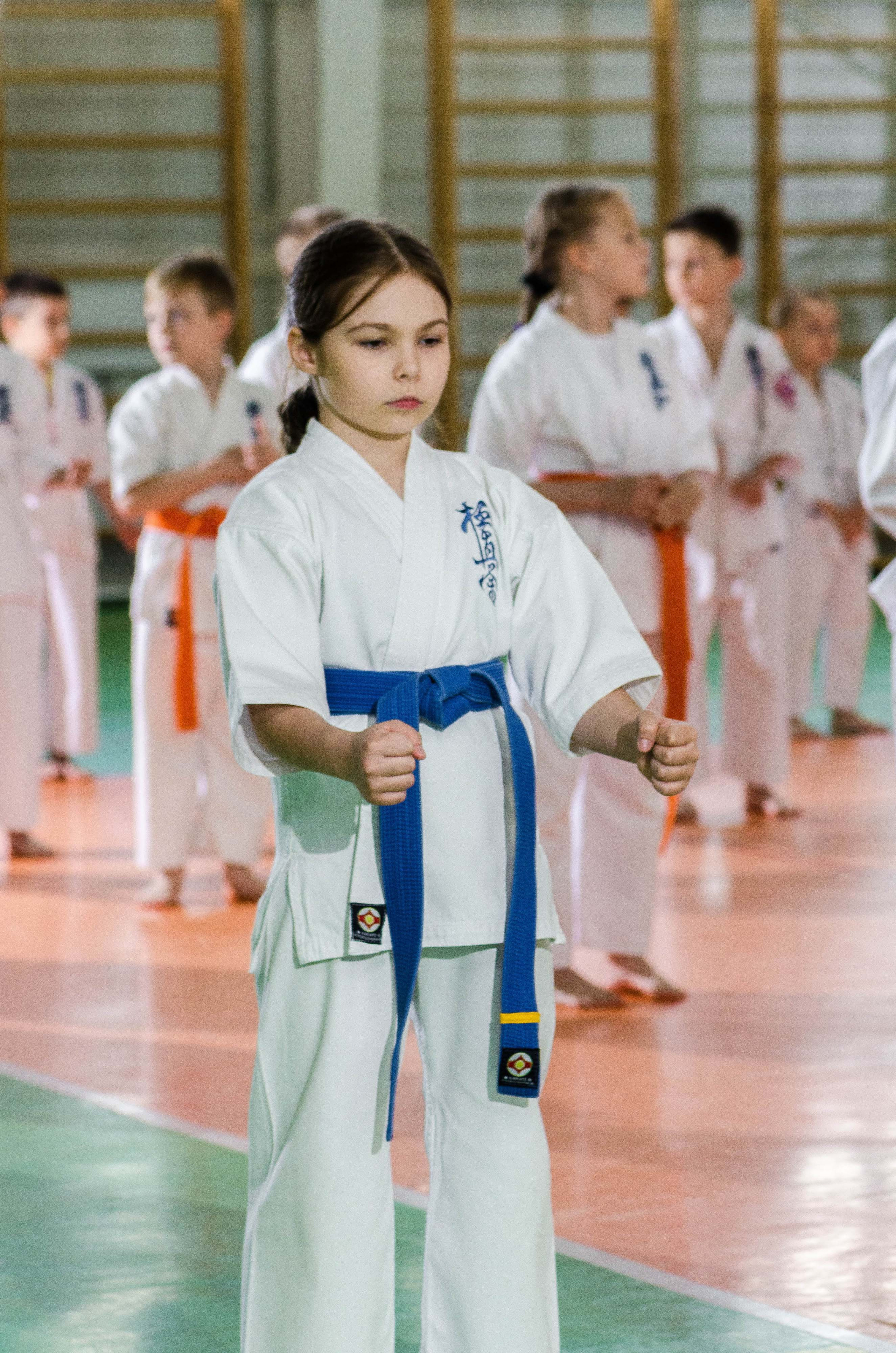 Аттестация киокошинкай клуб «ИППОН», Екатеринбург. Свадебный фотограф на Урале Виктор Соколов