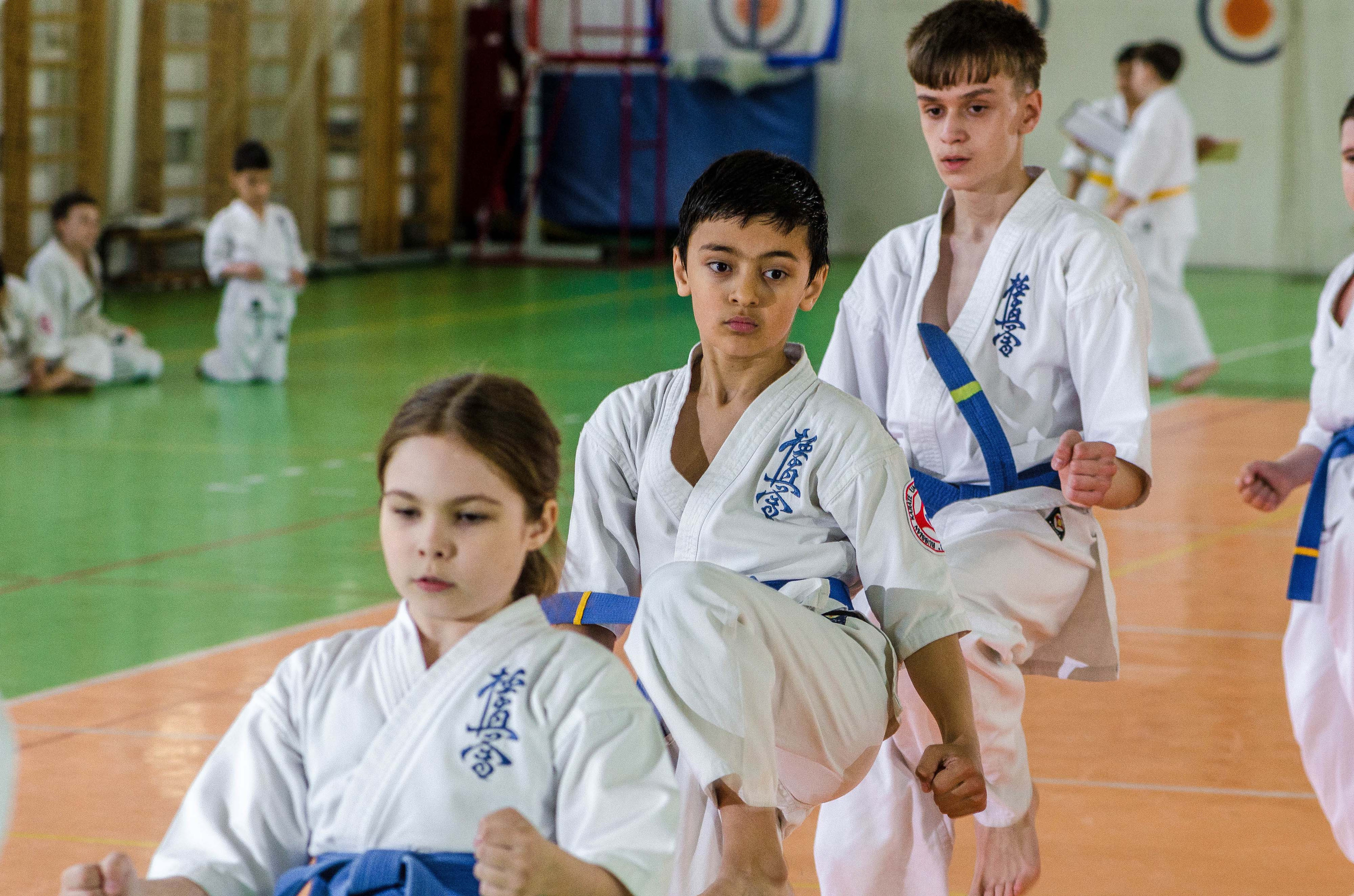 Аттестация киокошинкай клуб «ИППОН», Екатеринбург. Свадебный фотограф на Урале Виктор Соколов