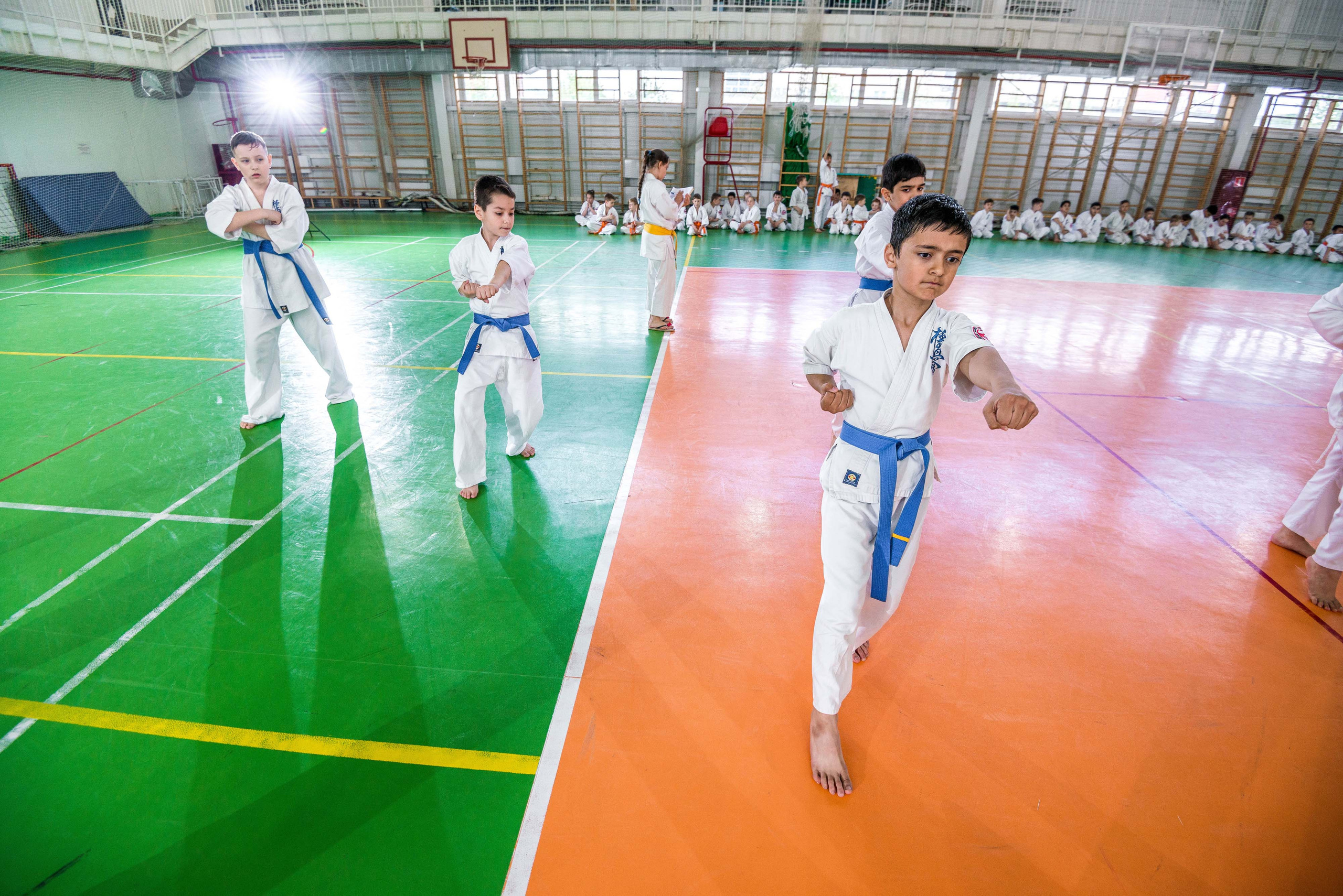 Аттестация киокошинкай клуб «ИППОН», Екатеринбург. Свадебный фотограф на Урале Виктор Соколов
