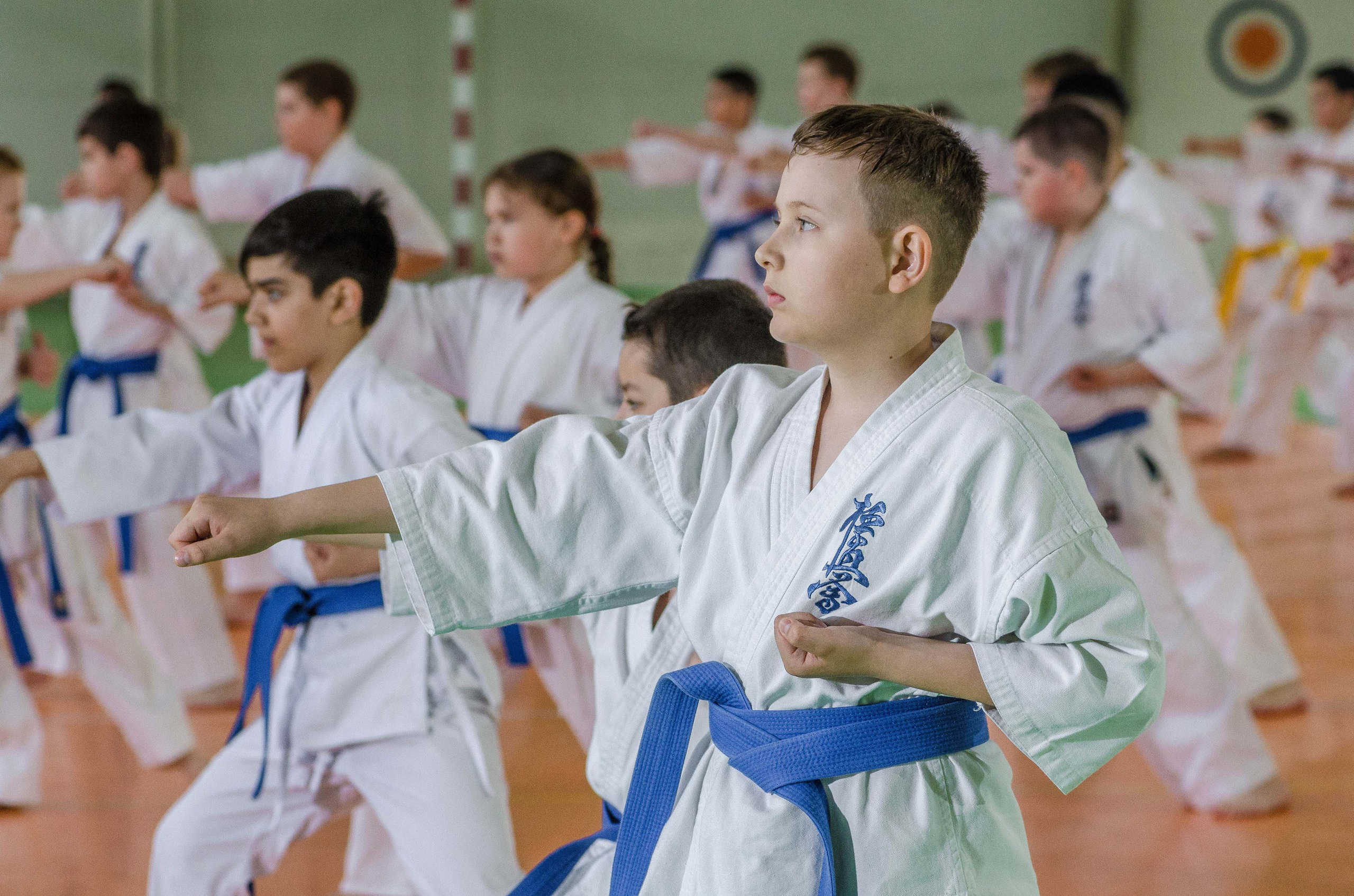 Аттестация киокошинкай клуб «ИППОН», Екатеринбург. Свадебный фотограф на Урале Виктор Соколов